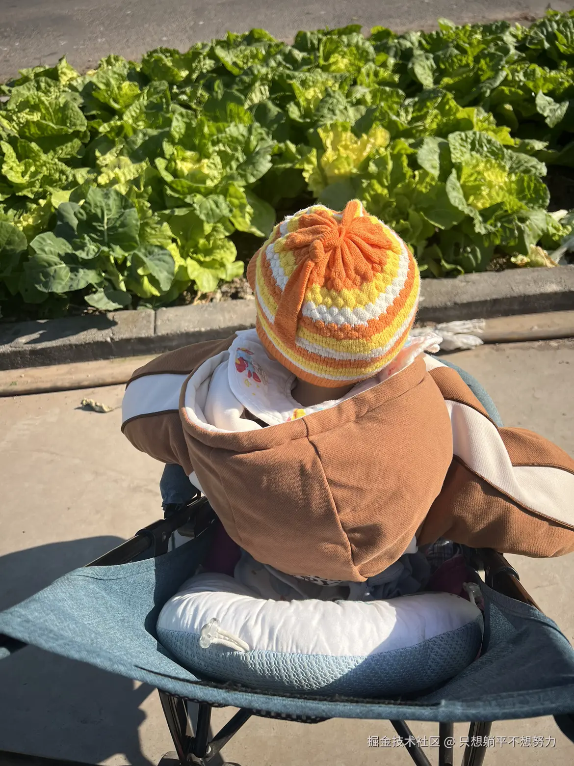 只想躺平不想努力于2025-11-21 09:56发布的图片