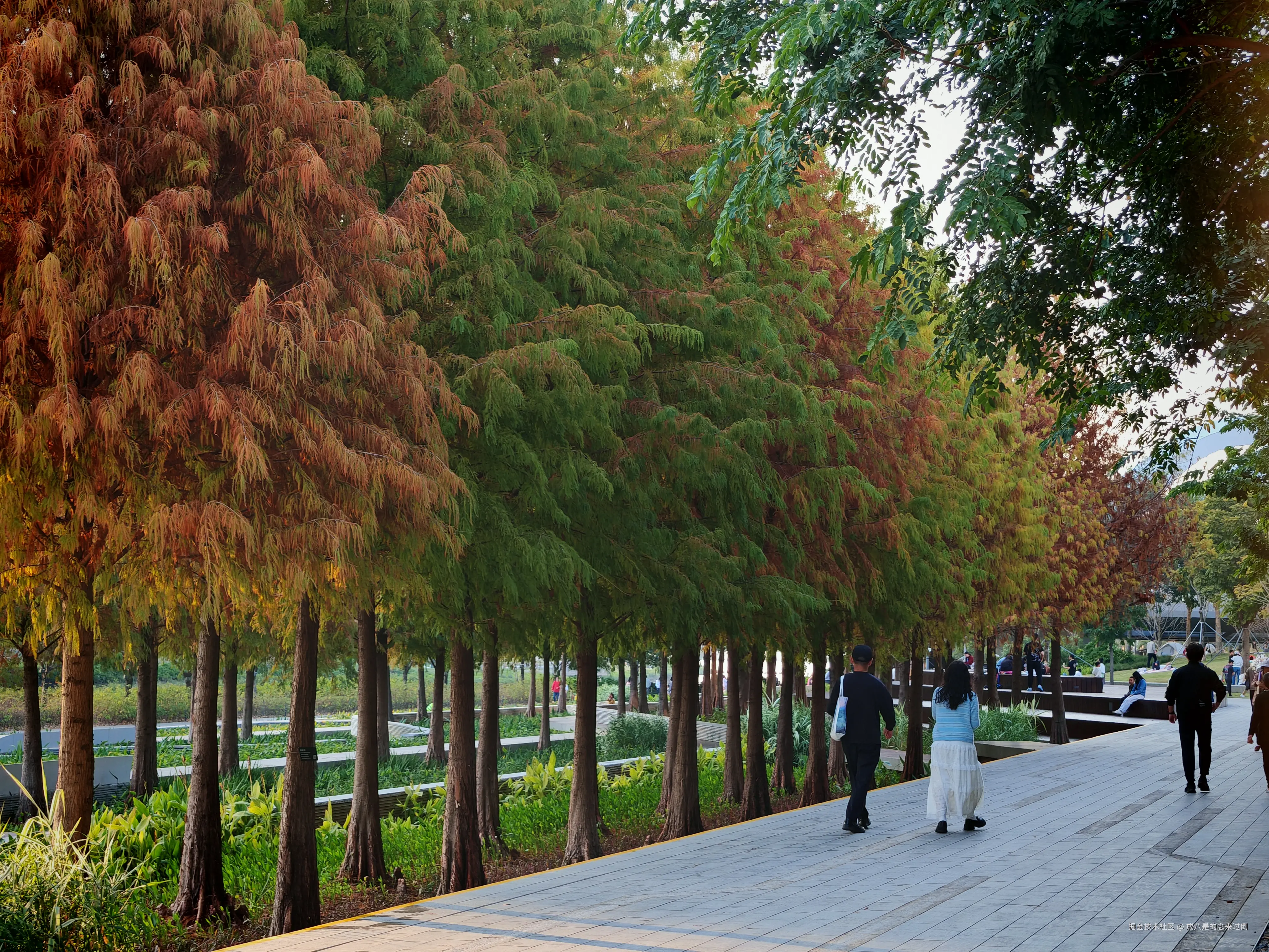 戒八是的念来过倒于2026-01-18 19:26发布的图片