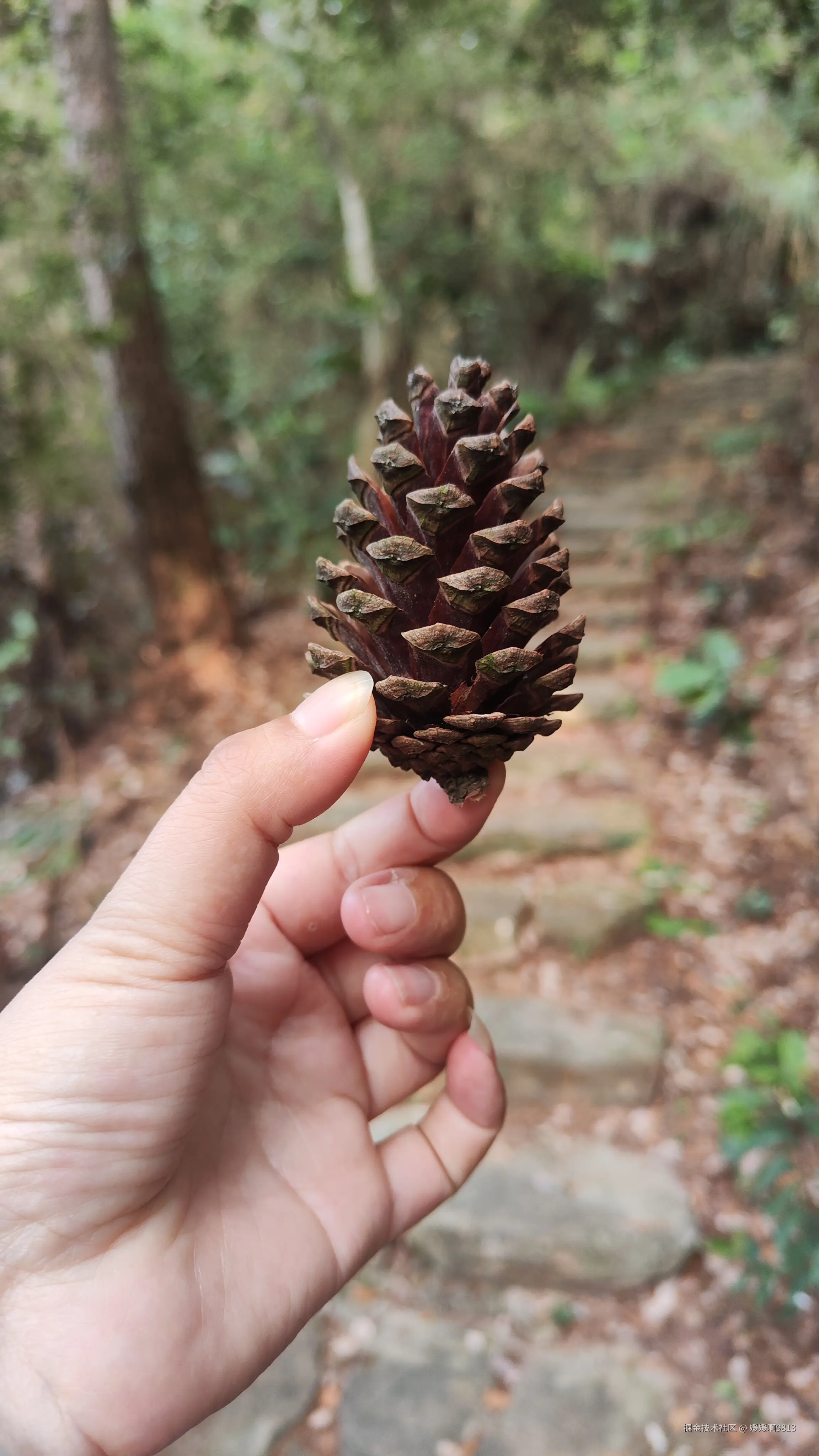 媛媛啊9813于2025-05-09 09:45发布的图片