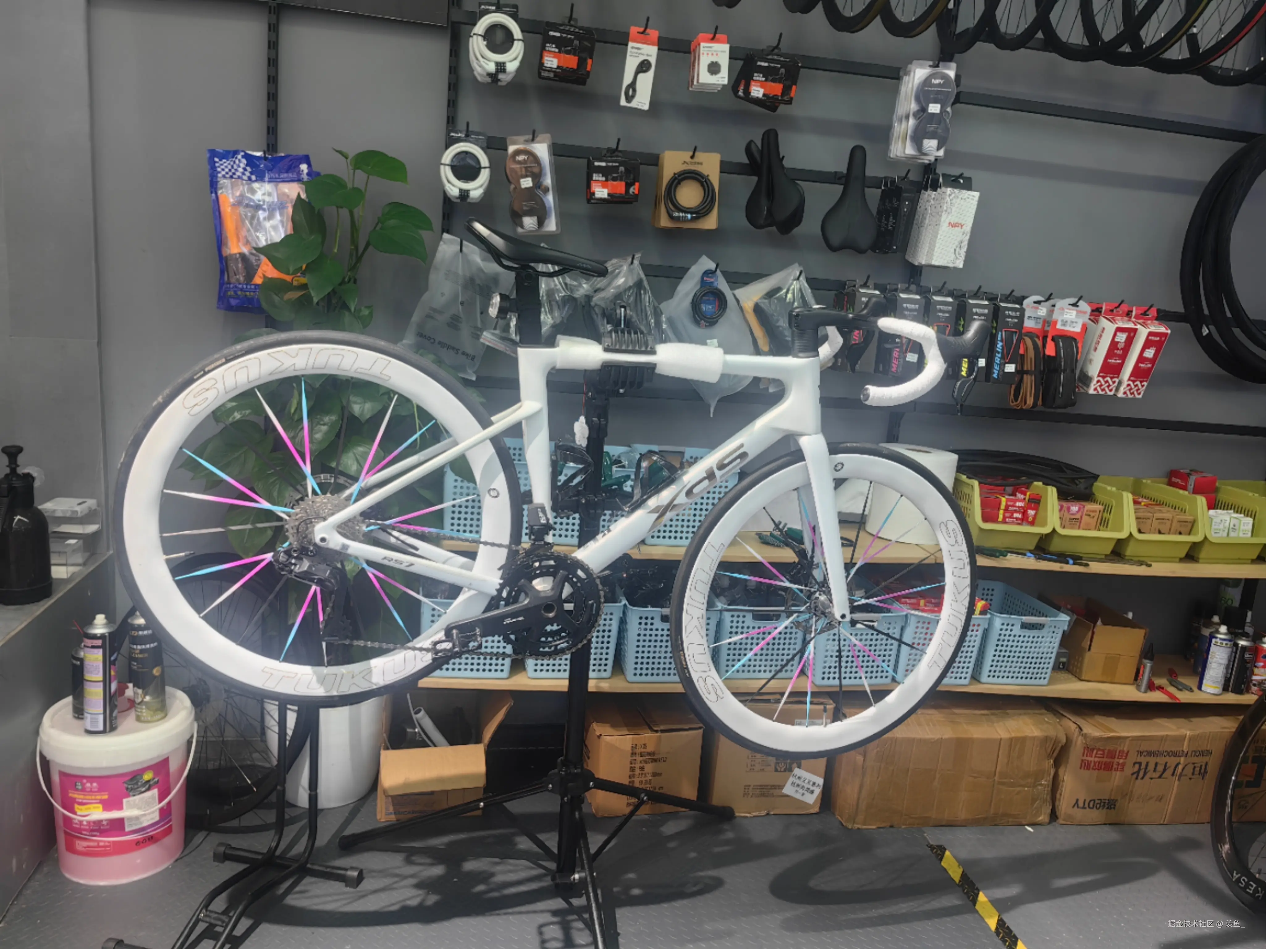 羡鱼_于2025-08-14 16:15发布的图片