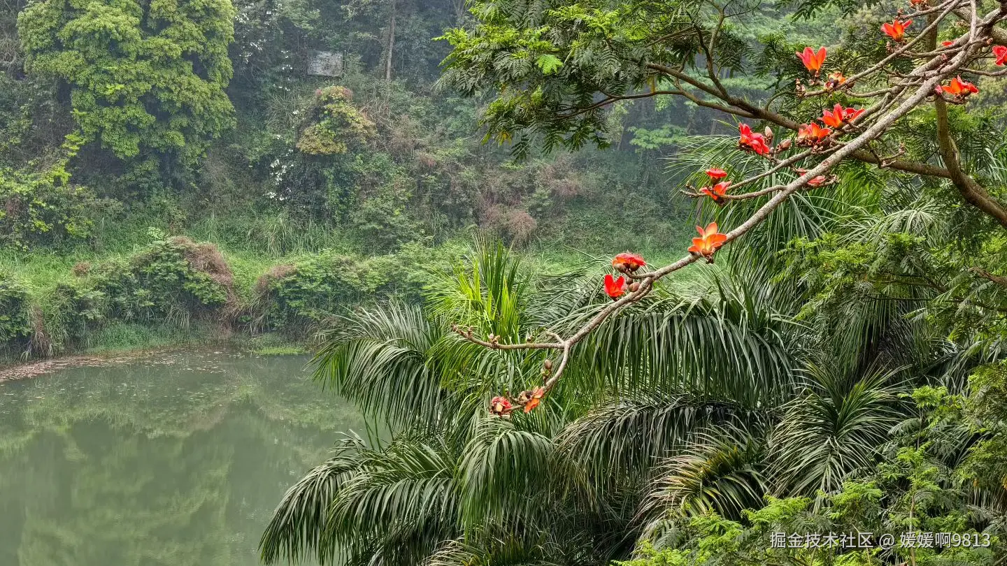 媛媛啊9813于2026-03-29 15:21发布的图片