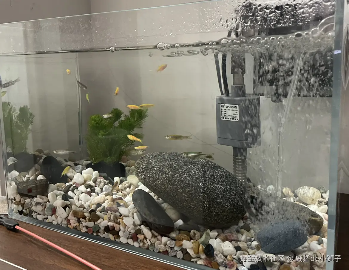 威猛de小狮子于2025-05-21 07:47发布的图片