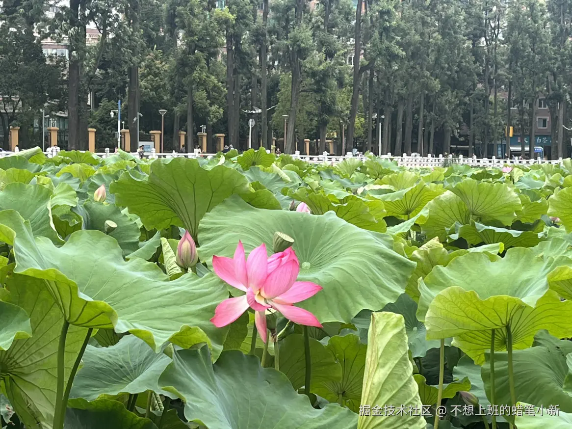 不想上班的蜡笔小新于2025-07-14 01:19发布的图片