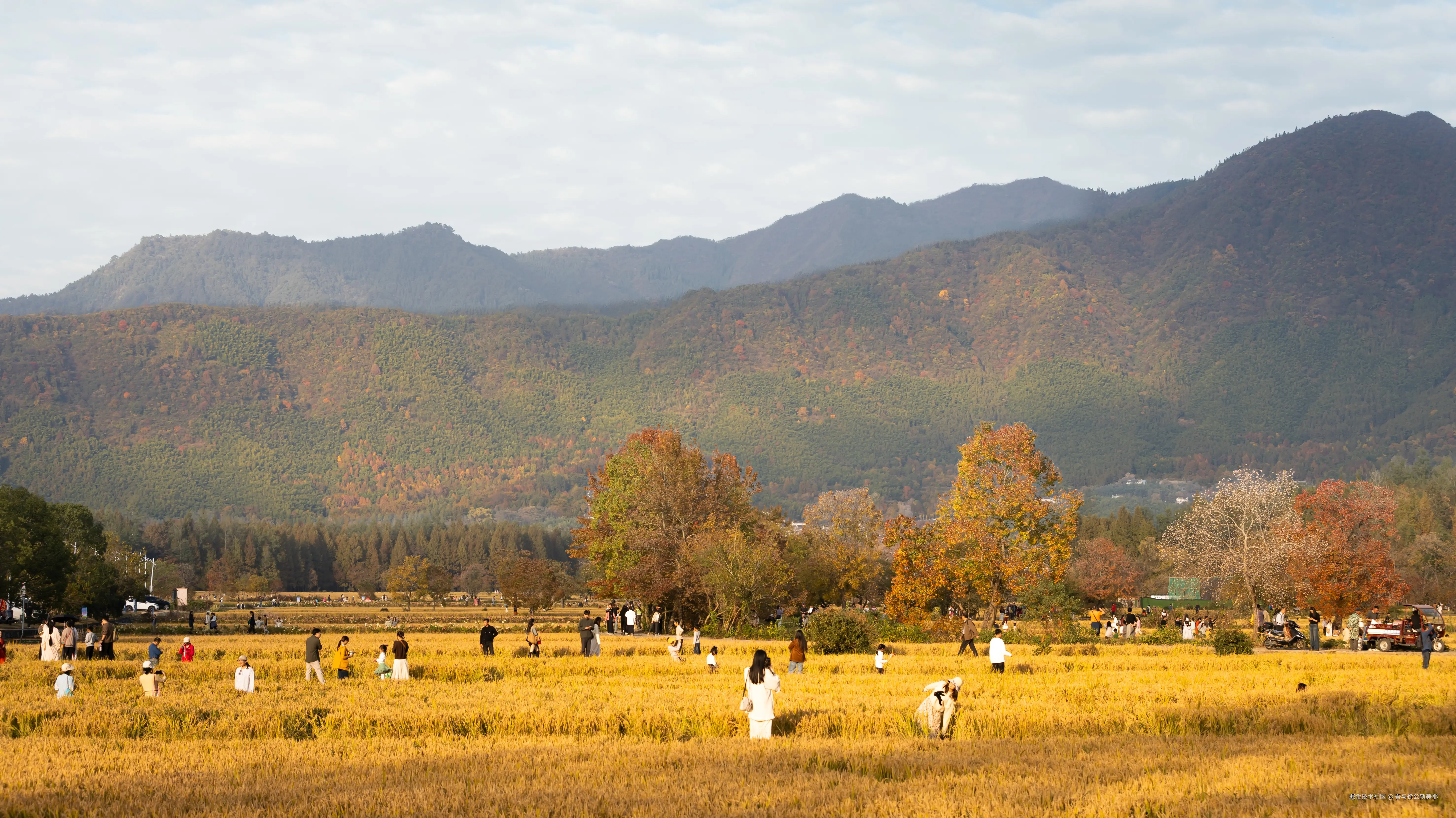 吾与徐公孰美耶于2025-11-18 13:46发布的图片