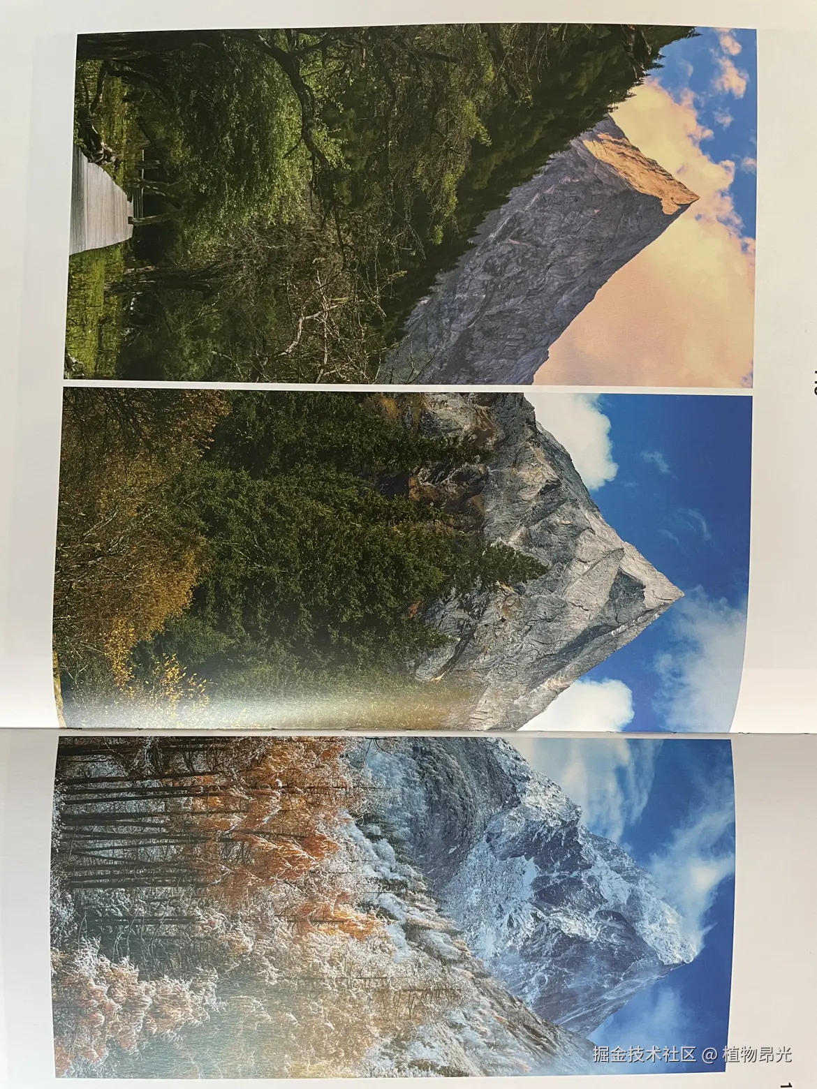 植物昂光于2026-03-15 11:13发布的图片