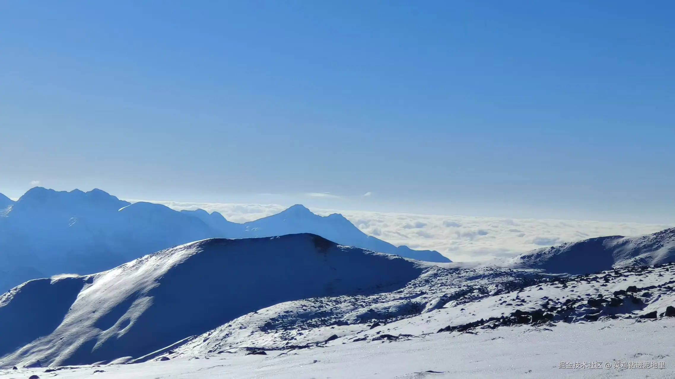 菜鸡钻进泥地里于2025-11-17 09:24发布的图片