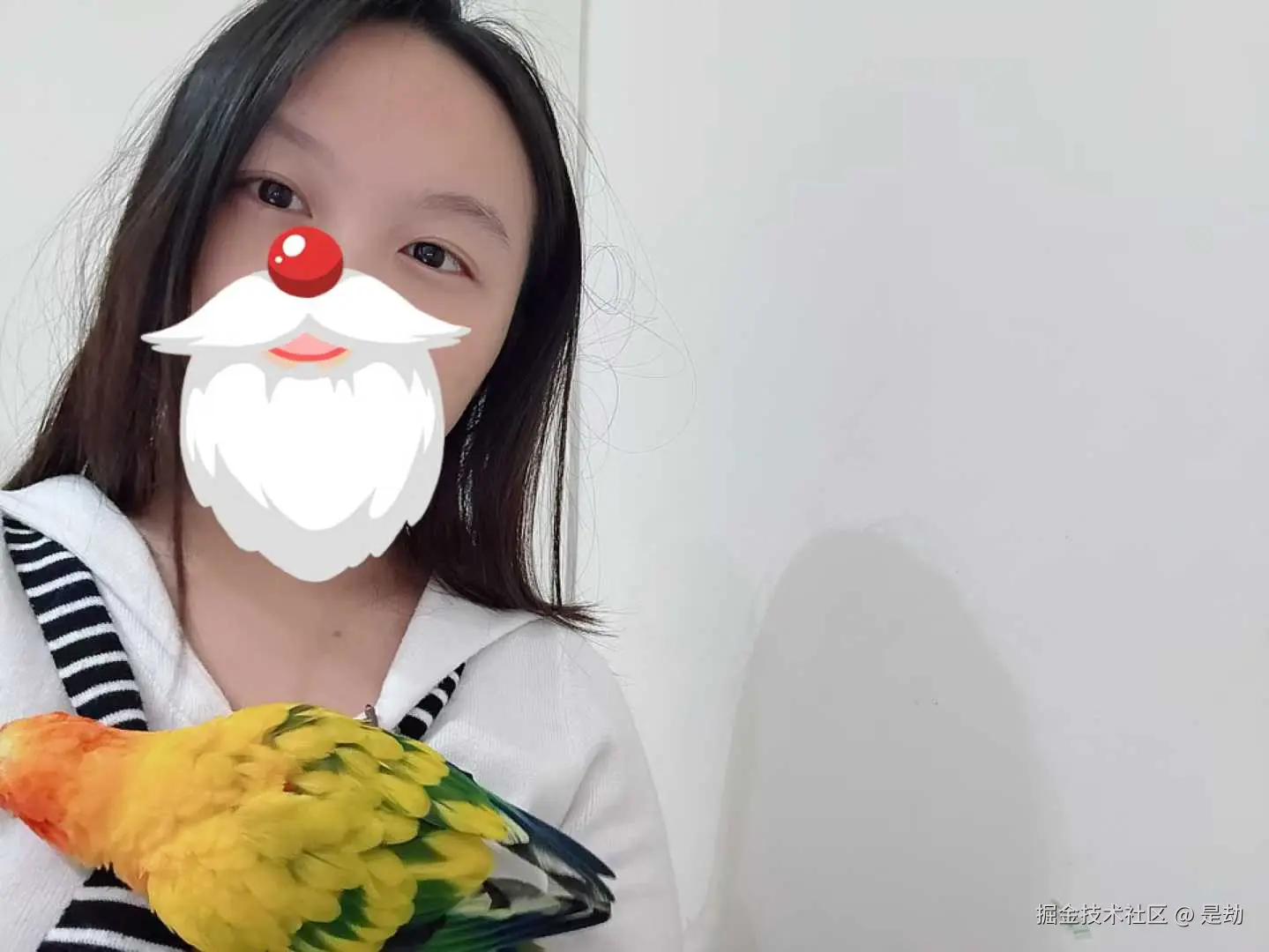 是劫于2025-12-25 10:07发布的图片
