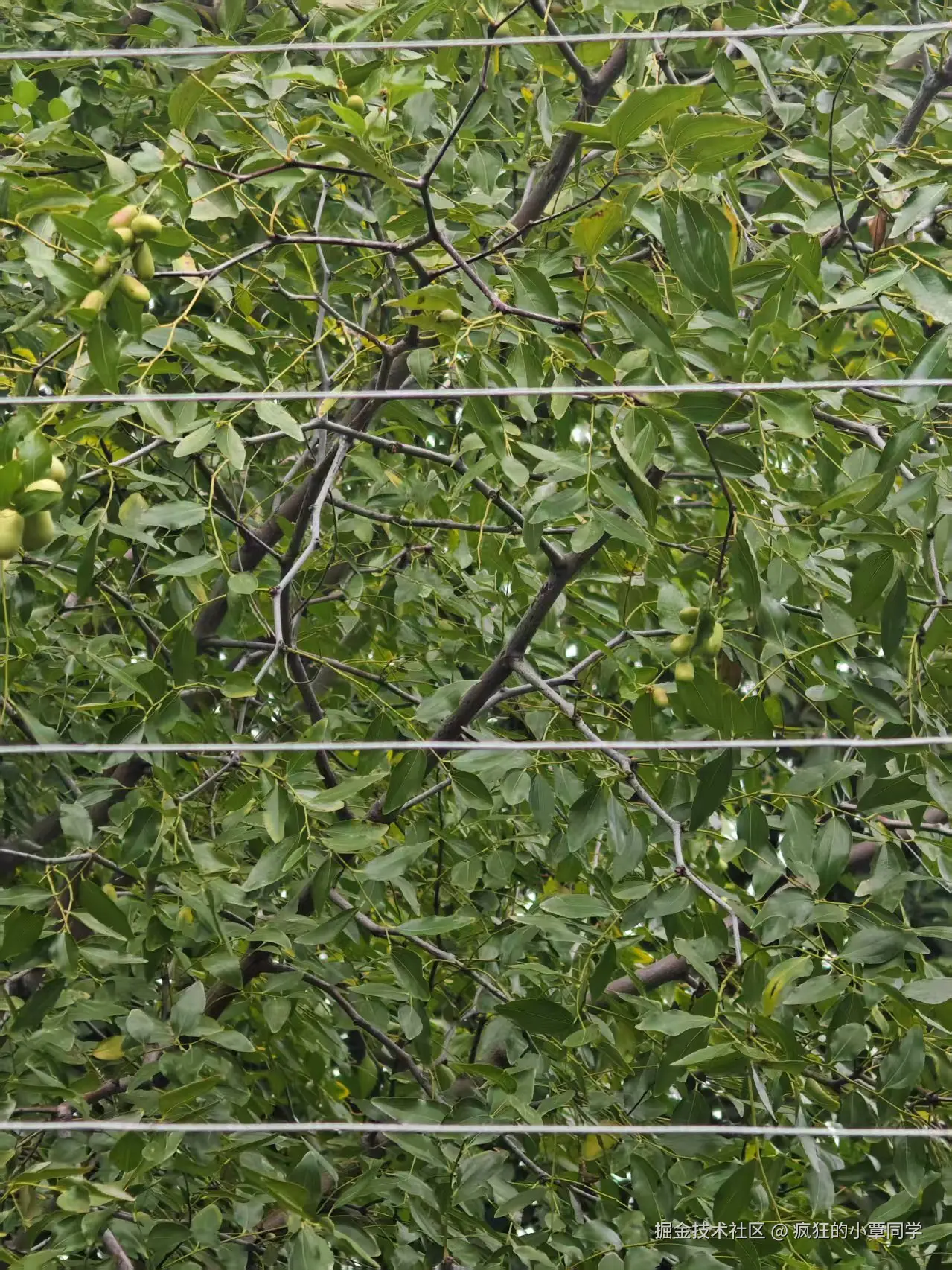 疯狂的小覃同学于2025-09-19 16:04发布的图片