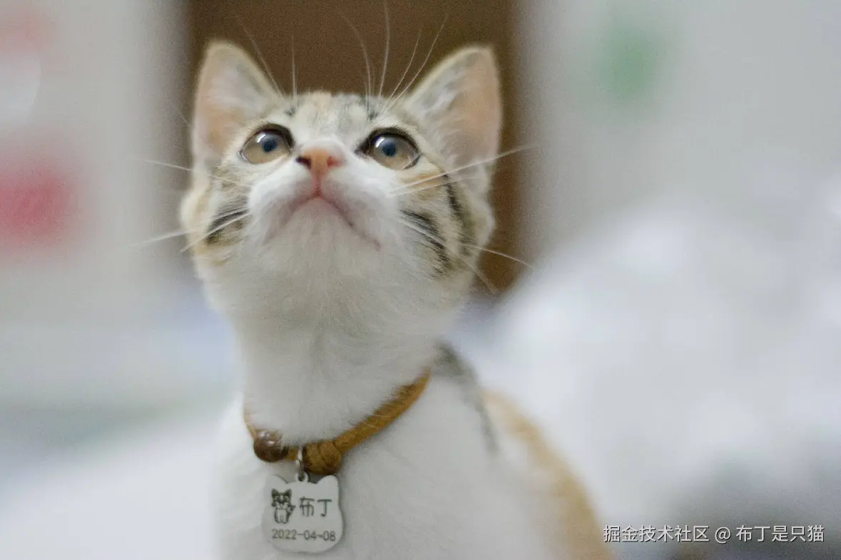 布丁是只猫于2025-06-18 09:07发布的图片