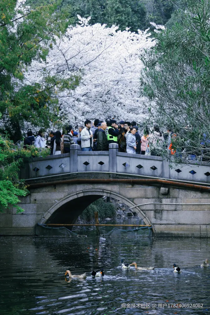 用户1782406924062于2026-04-08 10:09发布的图片