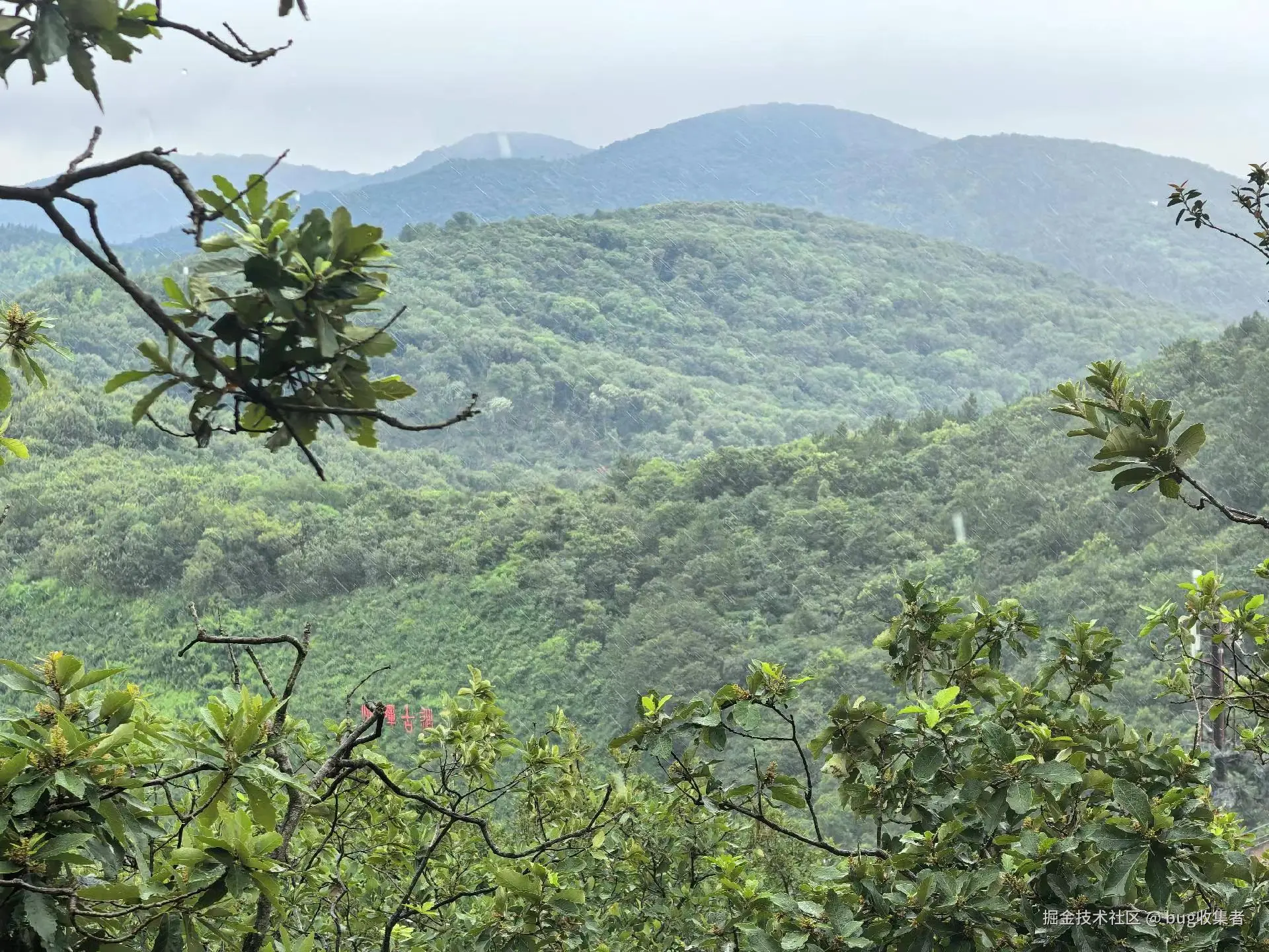 bug收集者于2025-06-23 09:04发布的图片