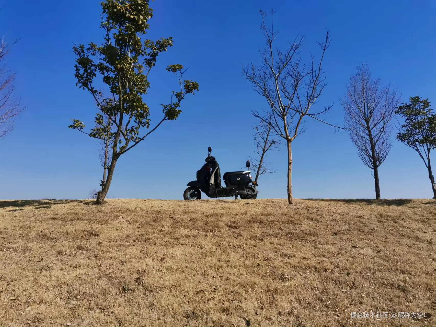 昵称为空C于2025-04-18 15:15发布的图片