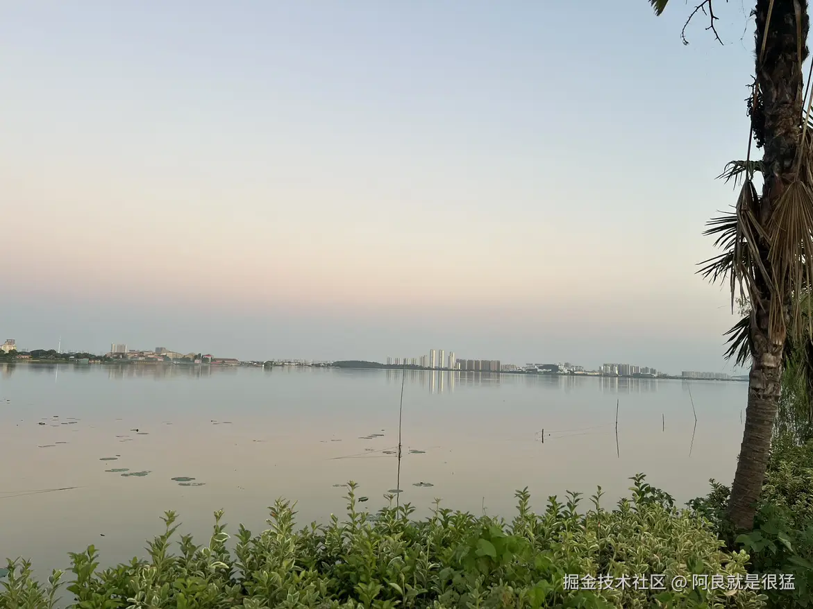 阿良就是很猛于2025-08-18 09:25发布的图片