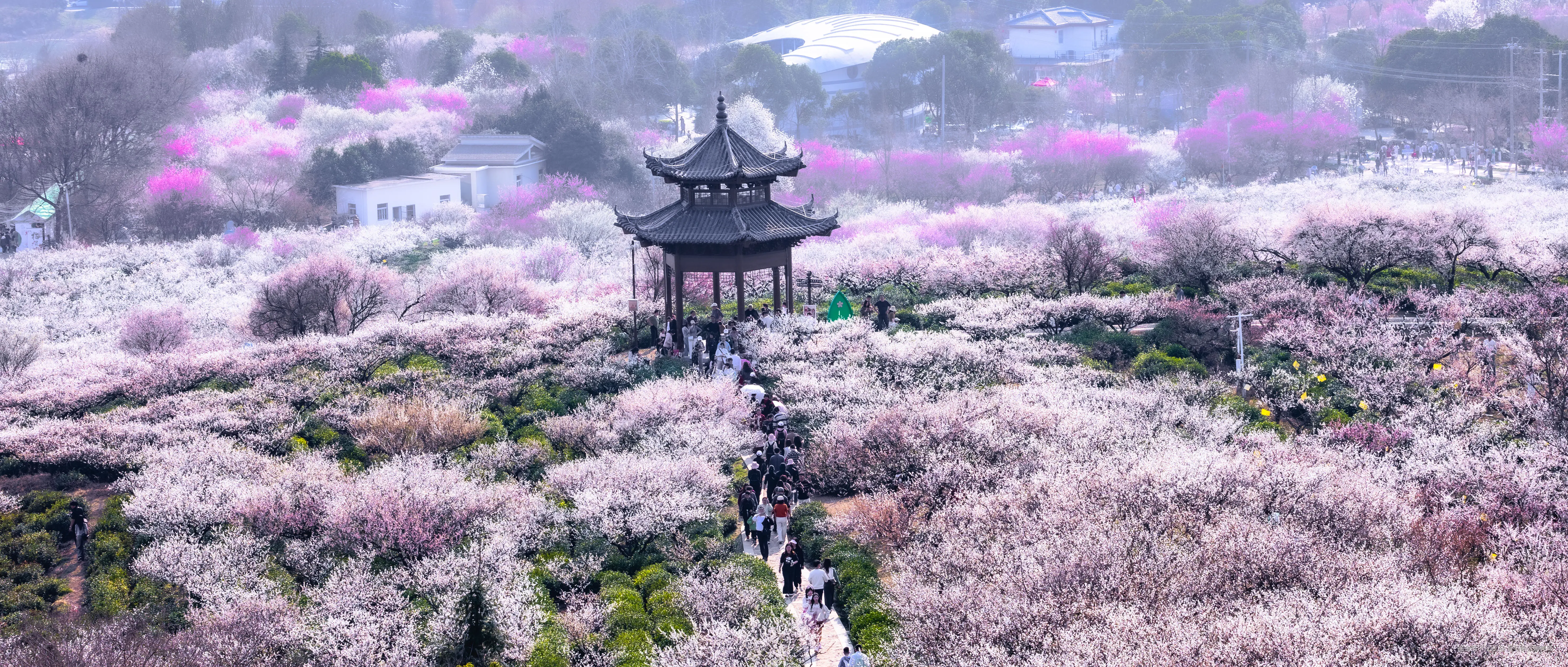 吾与徐公孰美耶于2025-03-03 10:14发布的图片