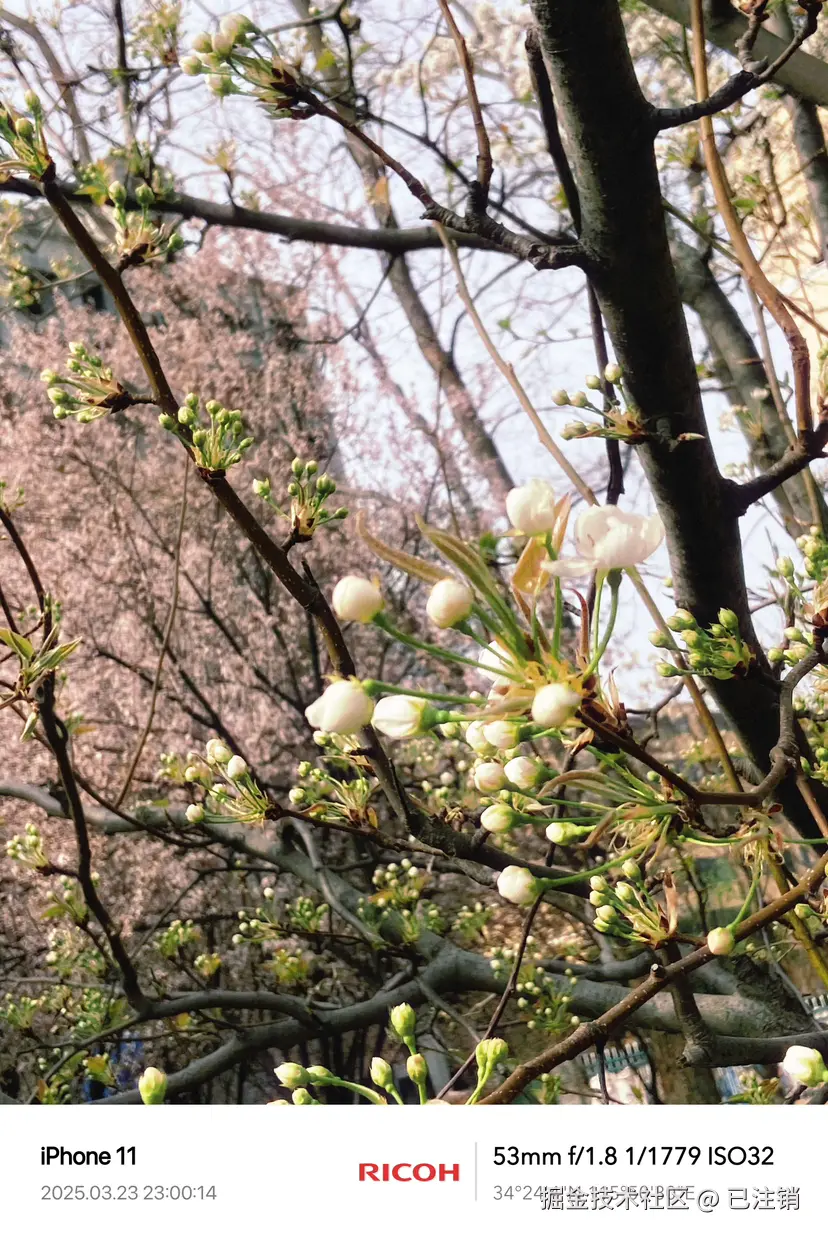 已注销于2025-03-23 23:13发布的图片