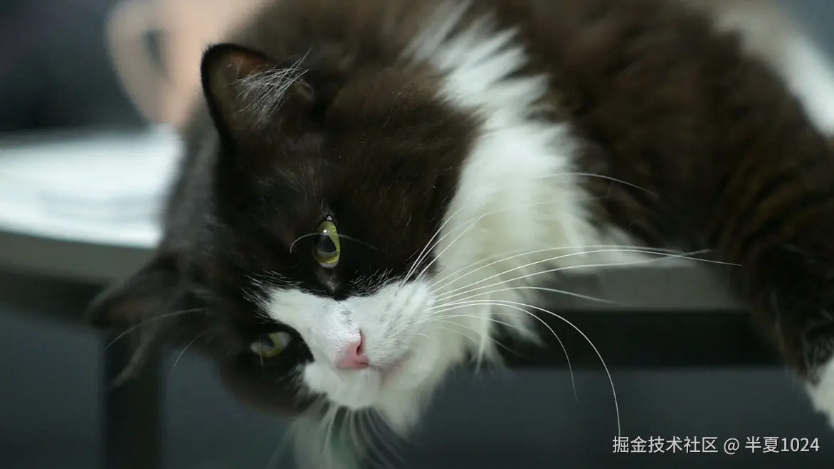 半夏1024于2024-08-19 10:37发布的图片