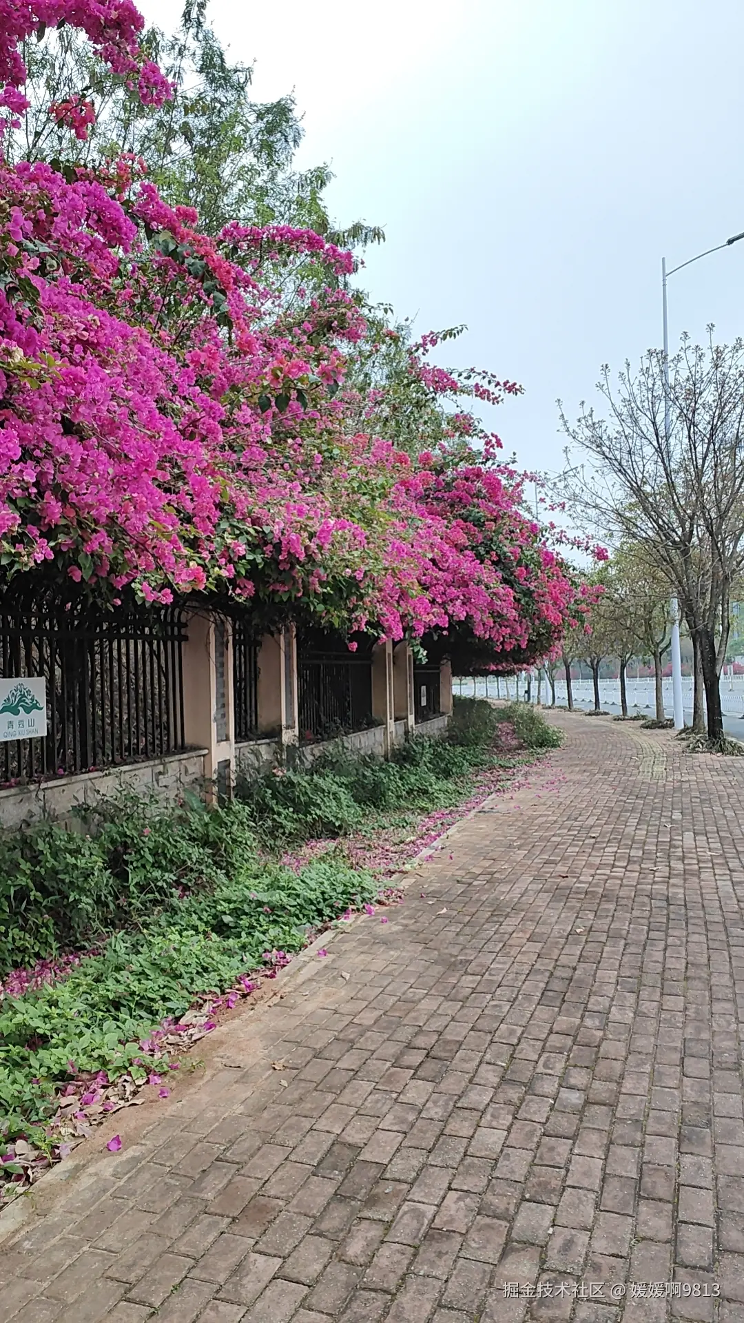 媛媛啊9813于2026-03-28 23:19发布的图片