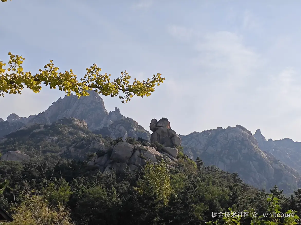 _whitepure于2025-12-04 20:09发布的图片