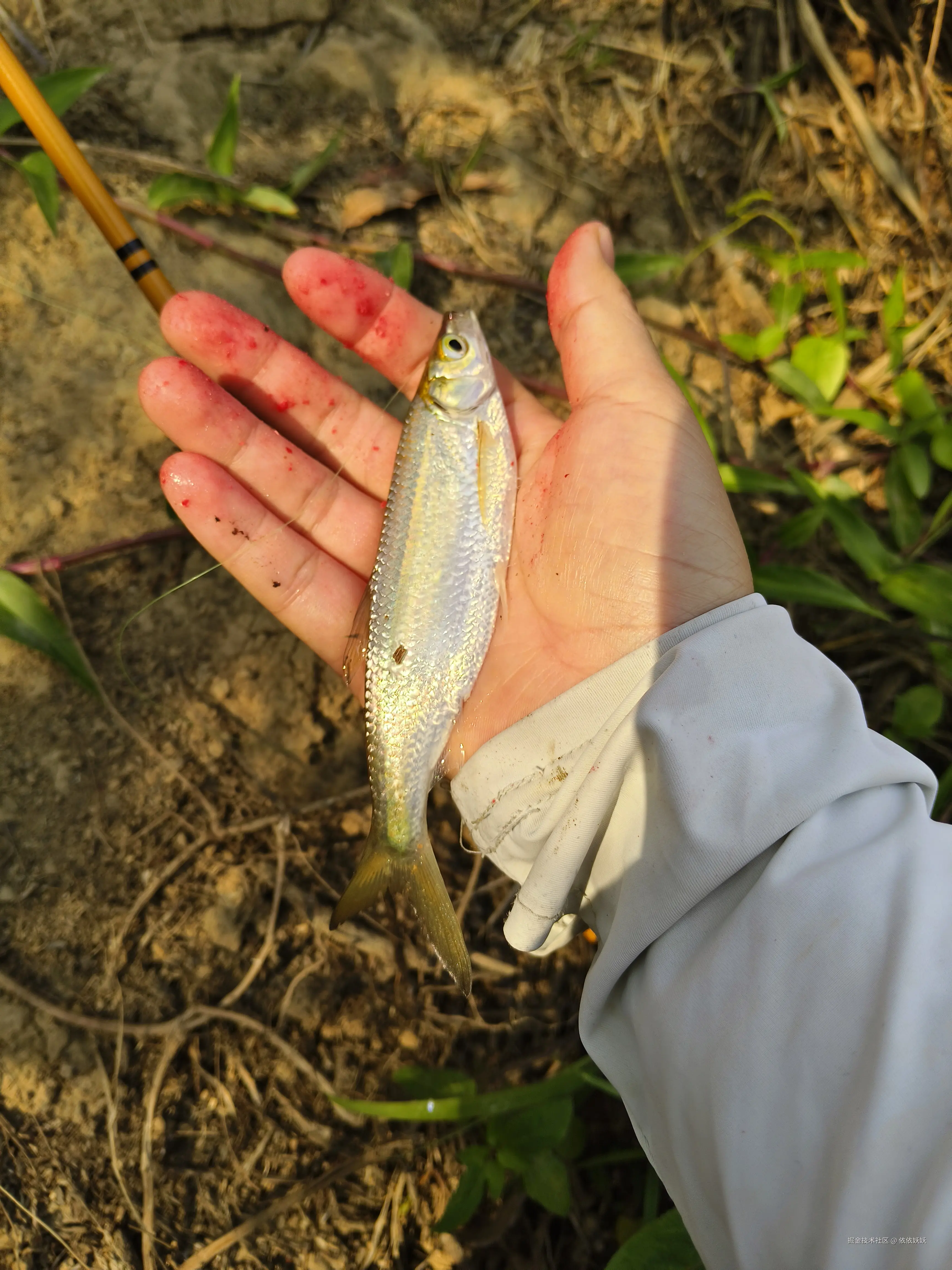 依依妖妖于2025-04-01 16:42发布的图片