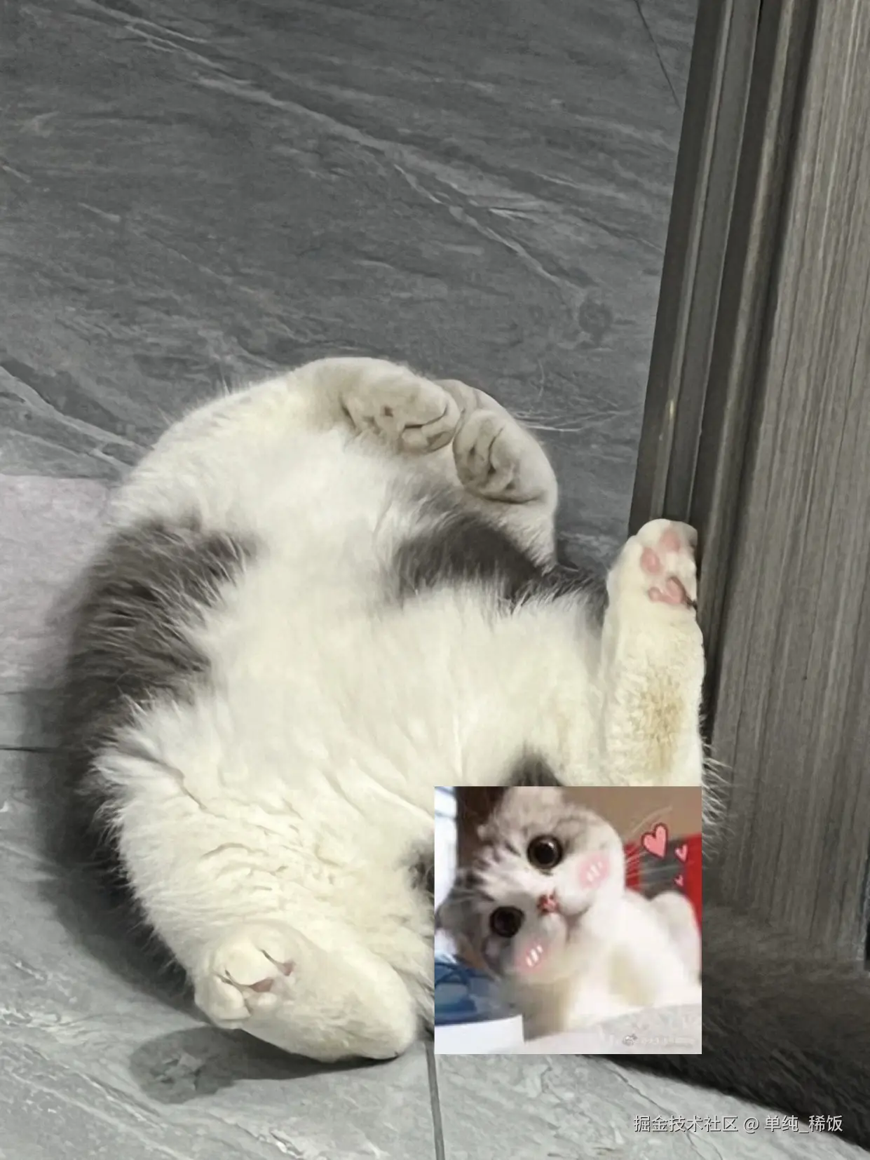 单纯_稀饭于2024-07-24 08:01发布的图片