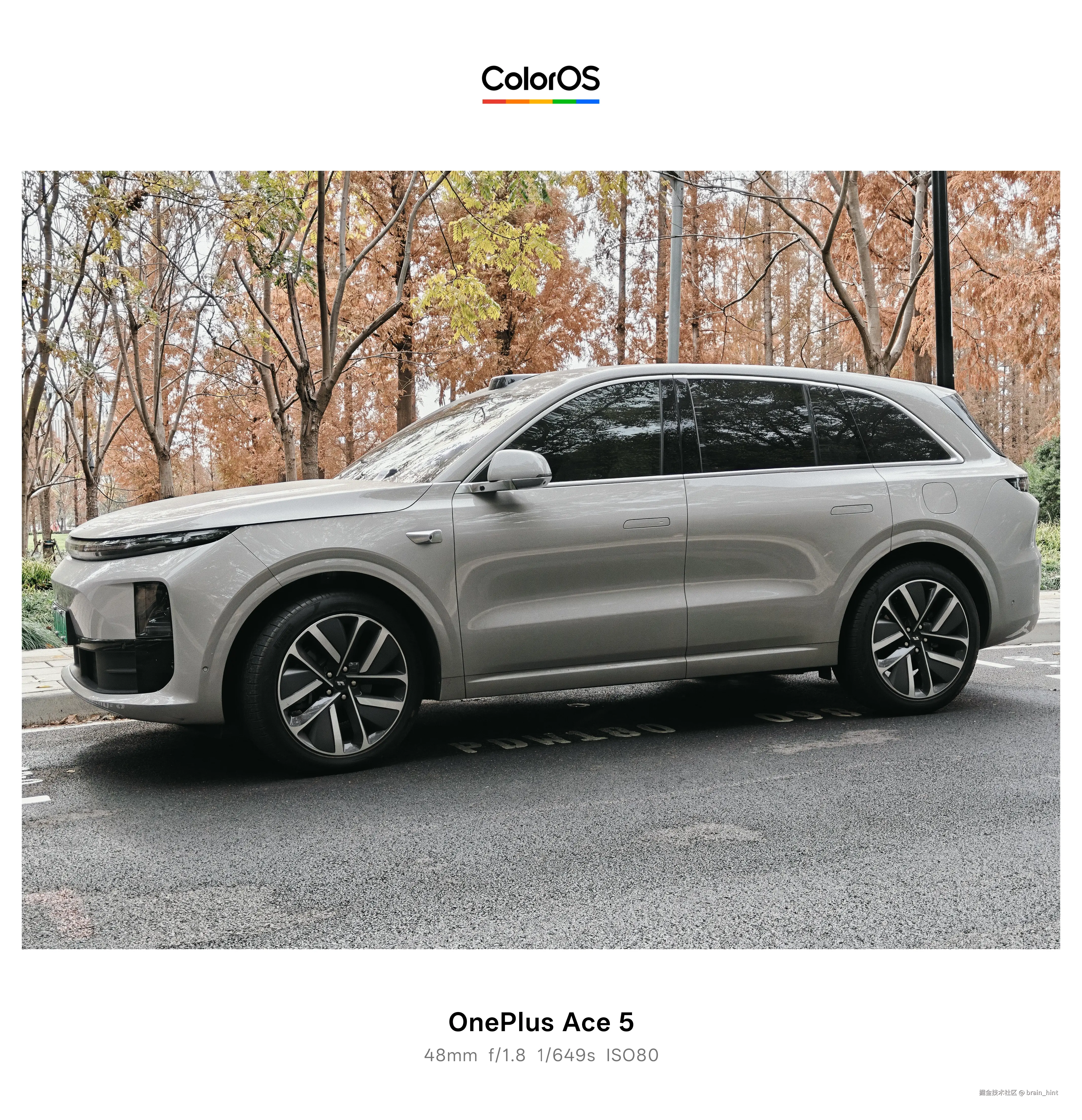 brain_hint于2025-12-10 04:53发布的图片