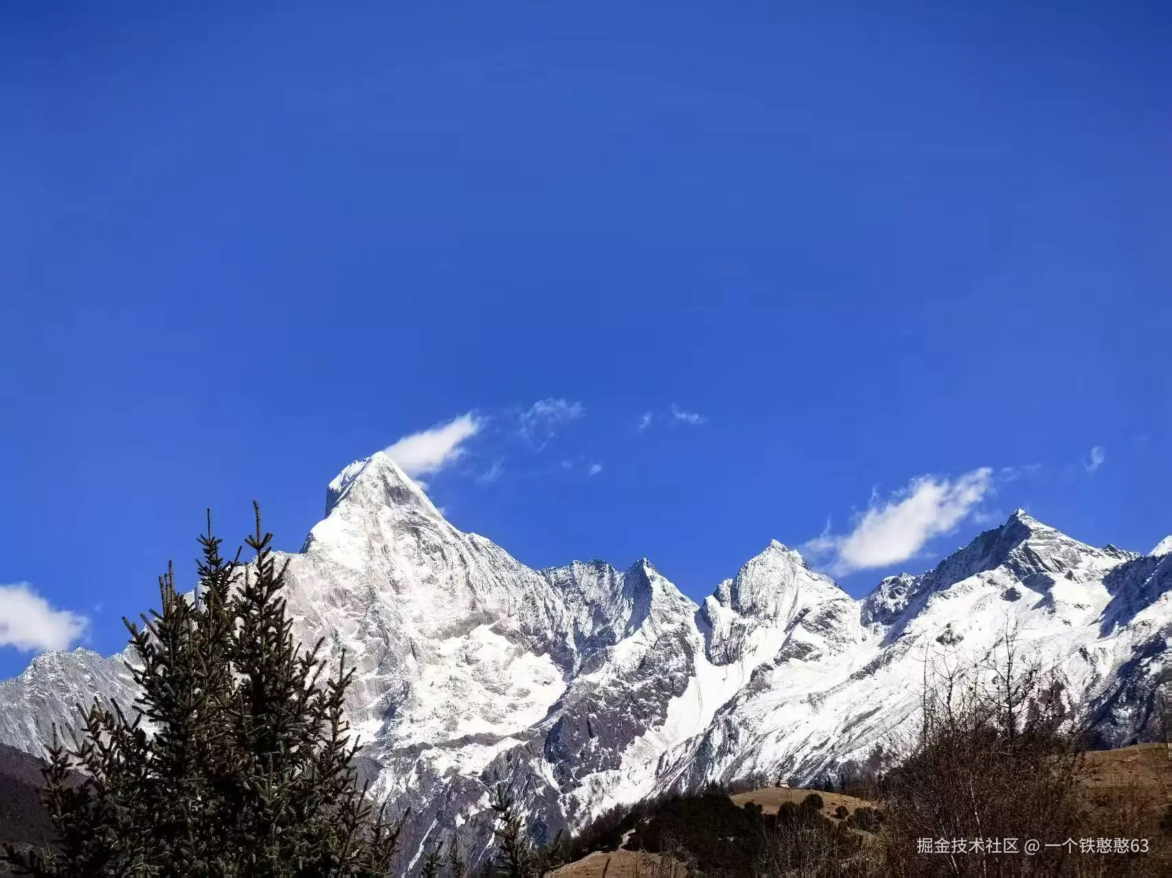 一个铁憨憨63于2026-03-05 14:35发布的图片