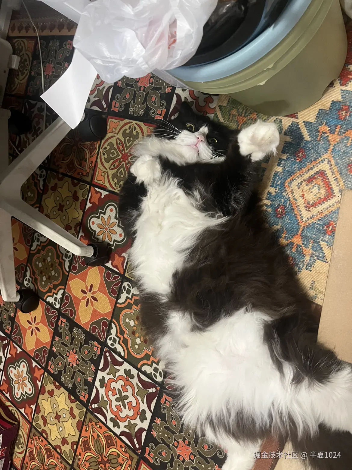 半夏1024于2025-01-08 11:44发布的图片