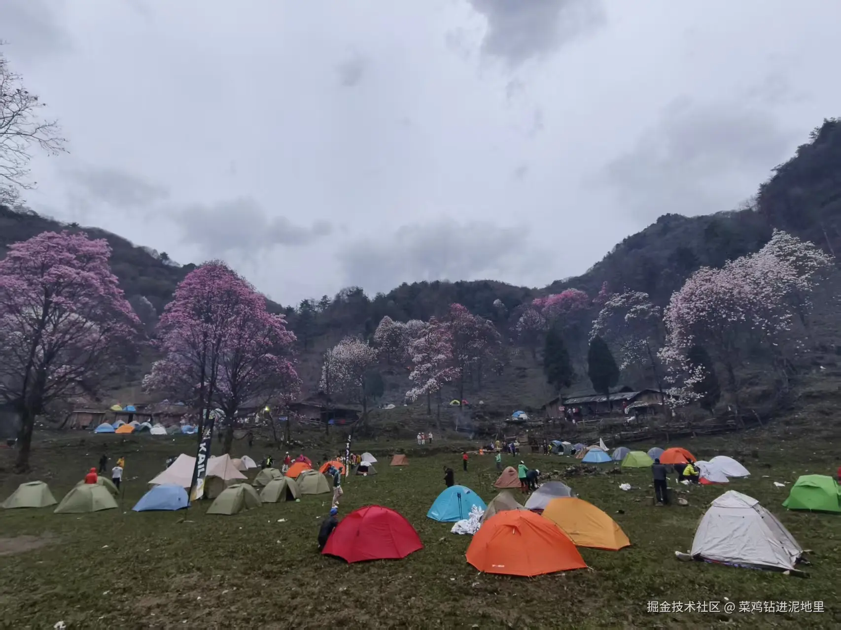 菜鸡钻进泥地里于2026-04-07 09:58发布的图片