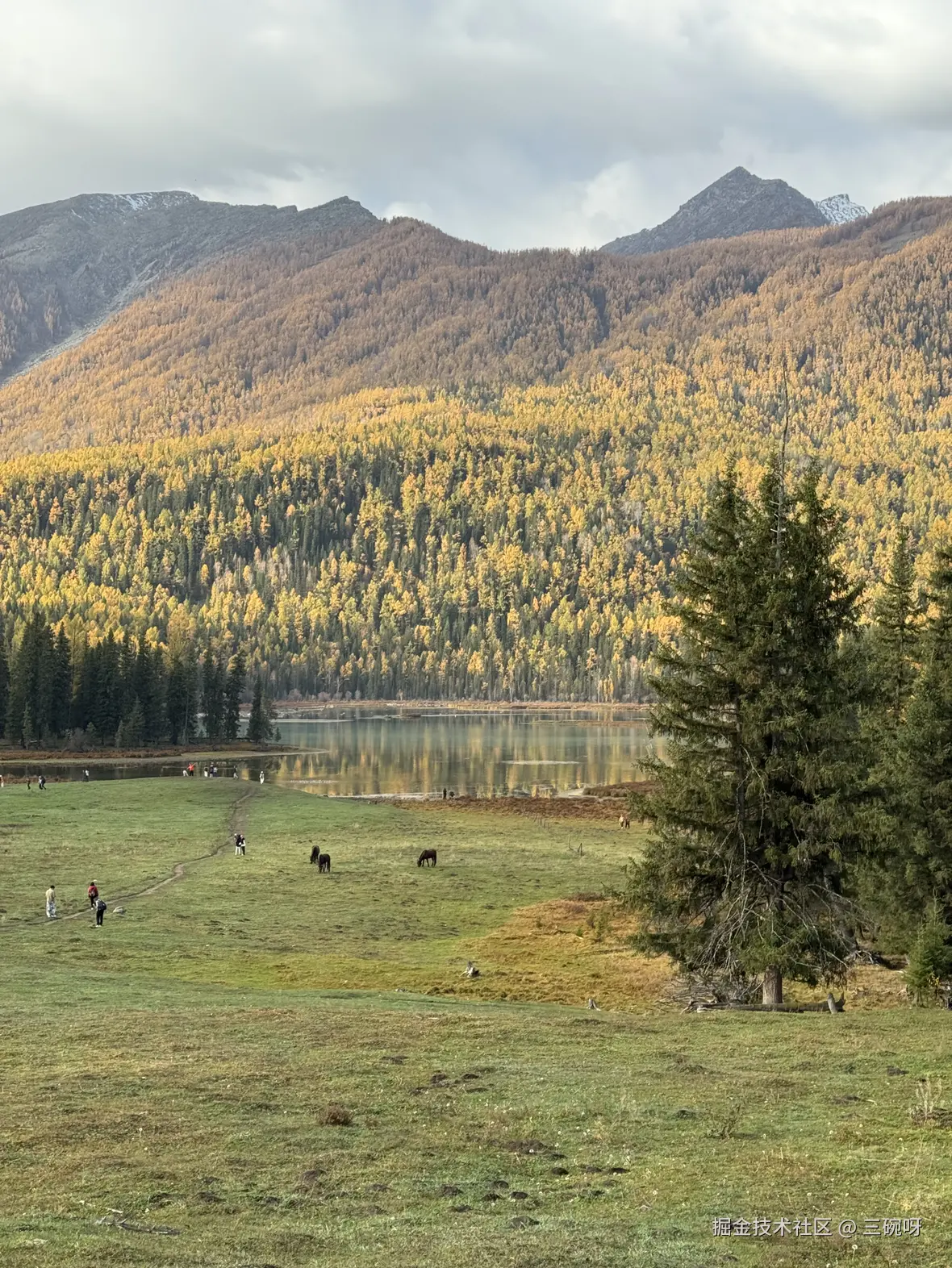 三碗呀于2025-10-22 13:55发布的图片