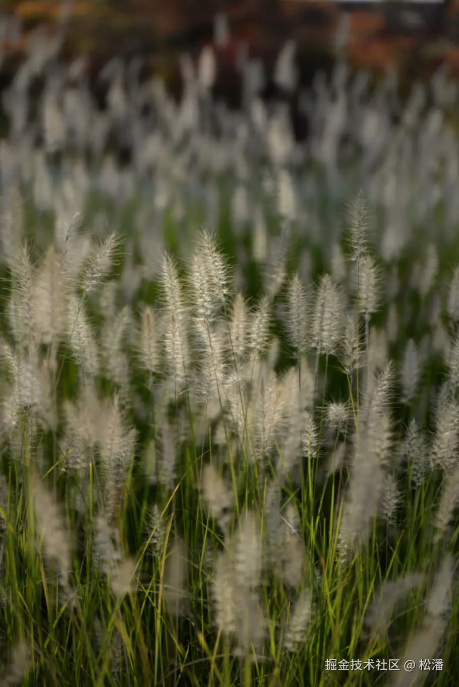 松潘于2024-09-29 13:54发布的图片