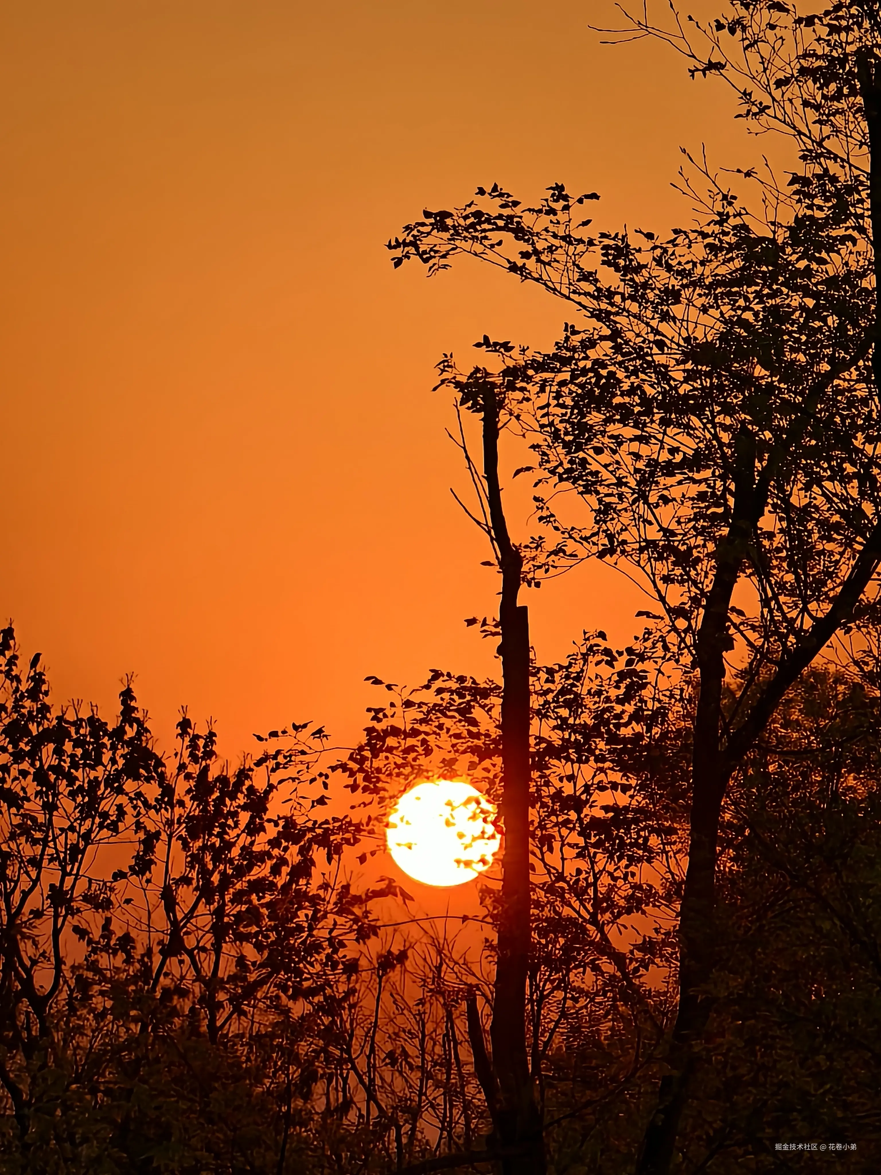 花卷小弟于2025-03-26 10:07发布的图片
