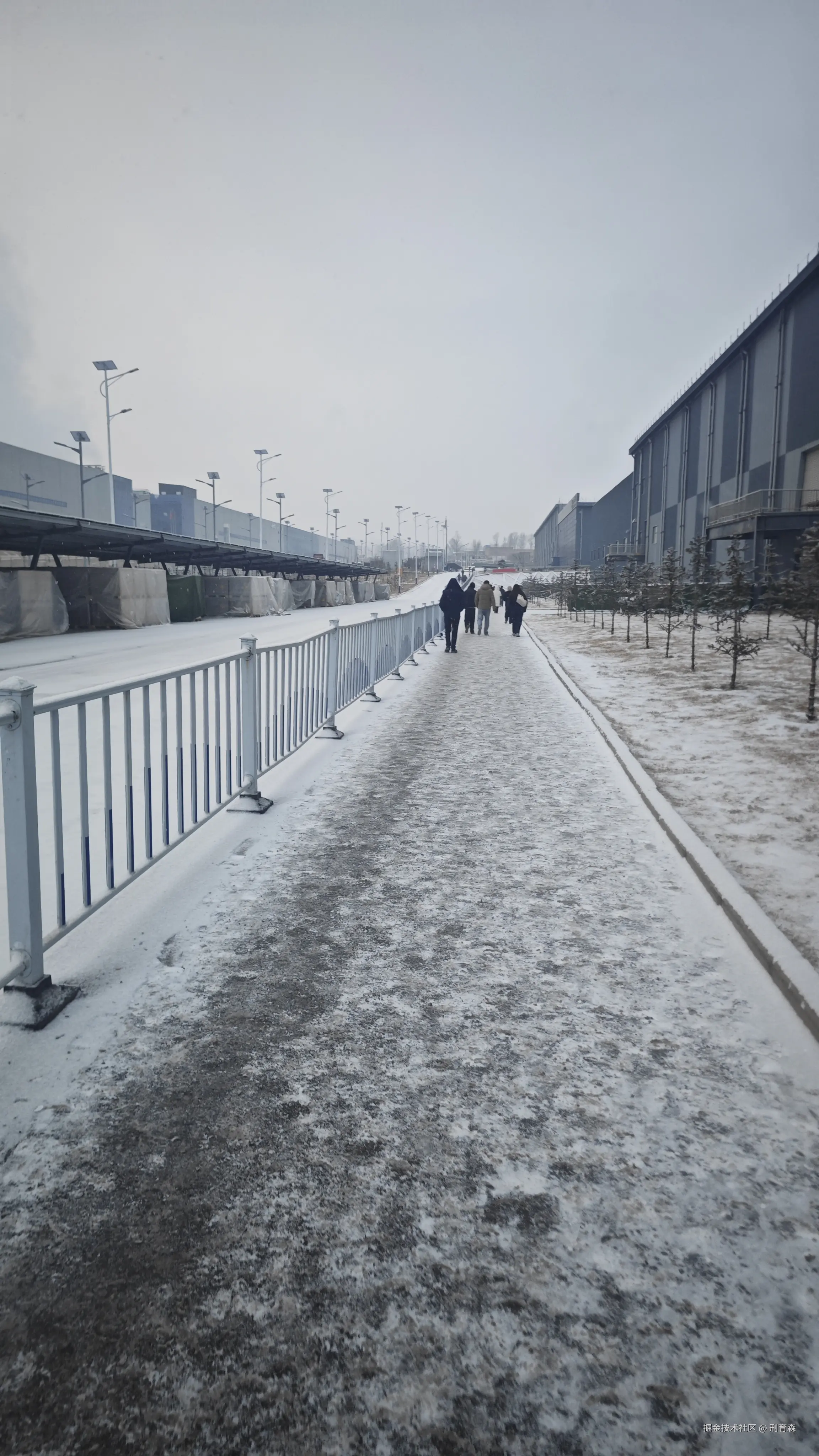 刑育森于2026-01-30 08:32发布的图片