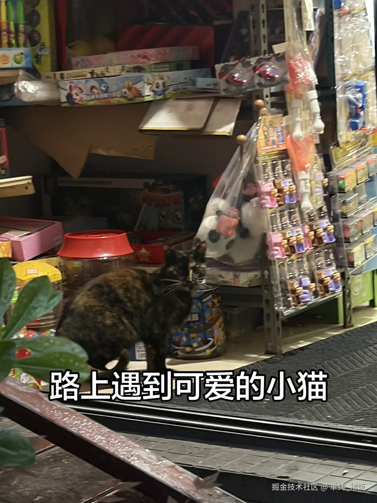 单纯_稀饭于2026-03-17 07:21发布的图片