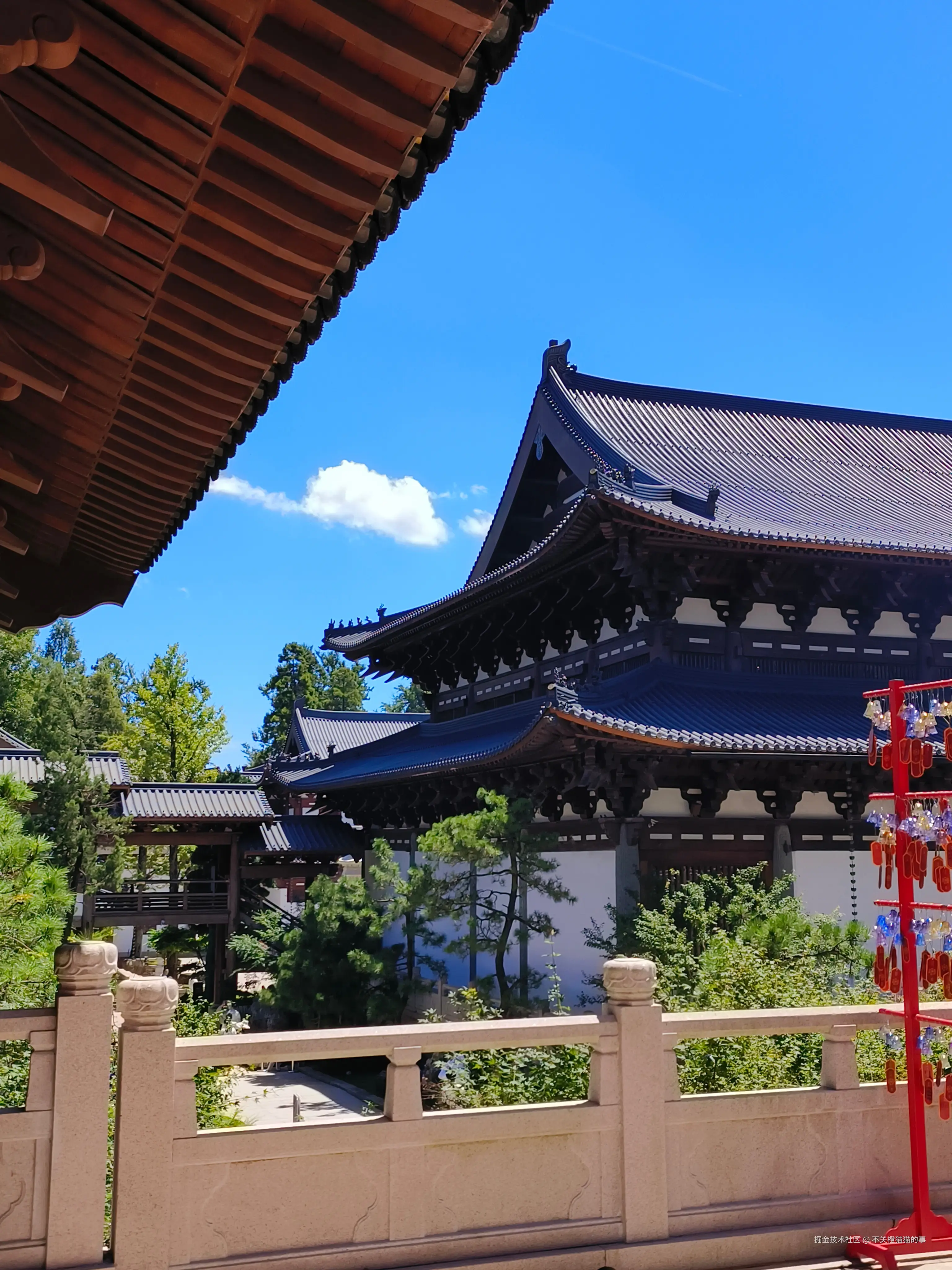 不关橙猫猫的事于2025-08-25 15:39发布的图片