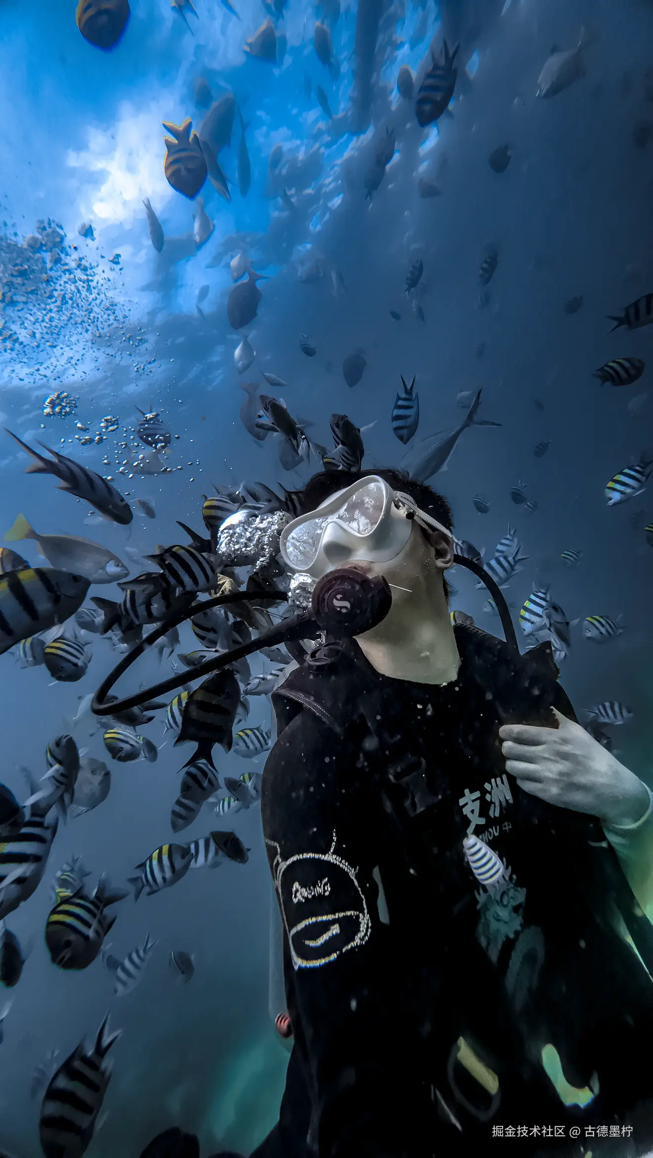 古德墨柠于2025-06-05 03:25发布的图片