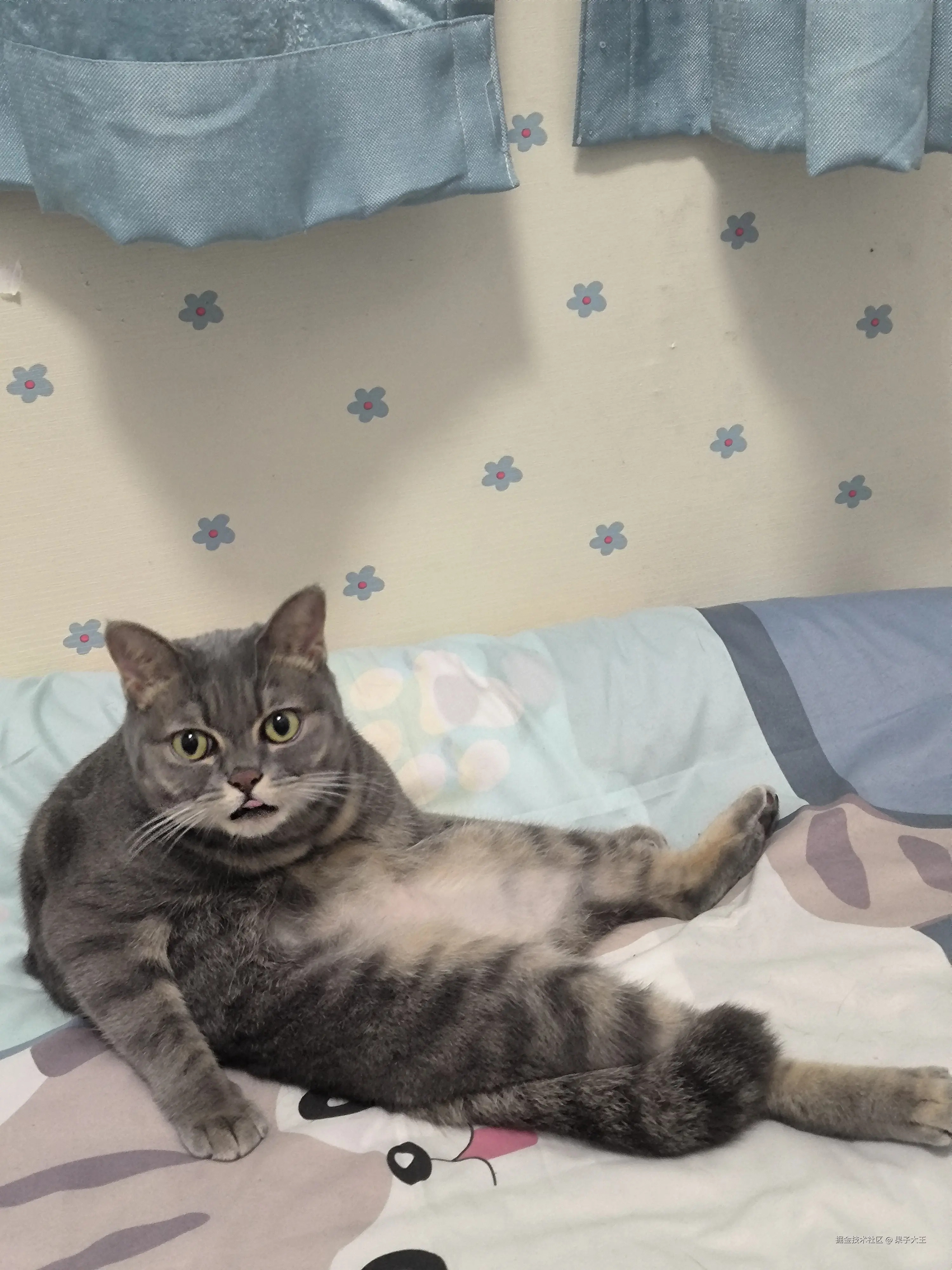 果子大王于2024-11-26 07:46发布的图片