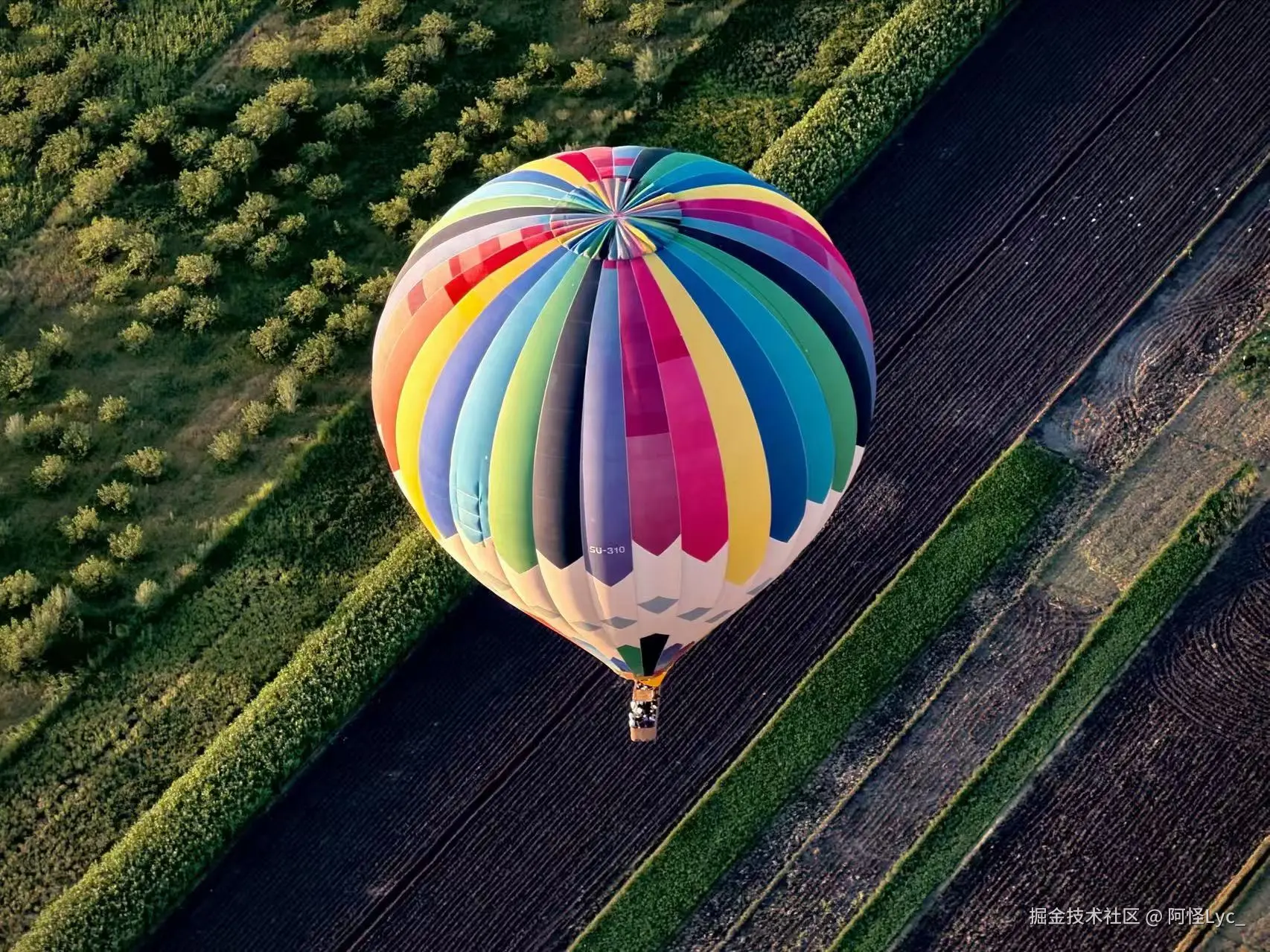 阿怪Lyc_于2026-03-19 10:05发布的图片