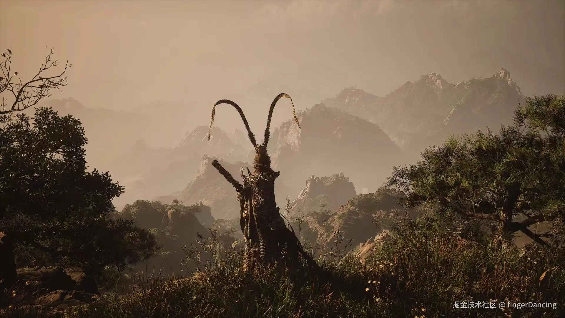 fingerDancing于2024-09-02 07:48发布的图片