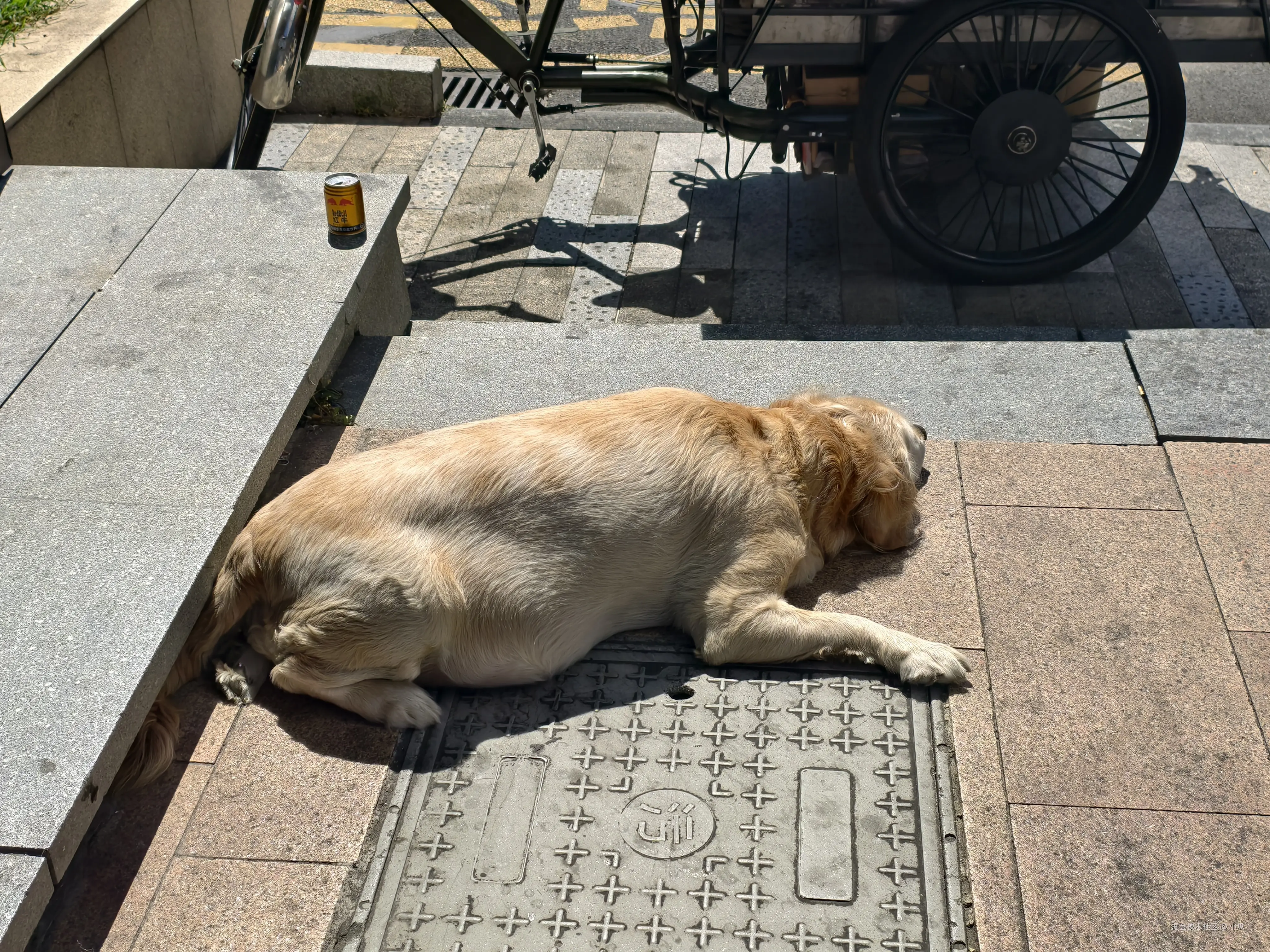 小瓜_于2025-08-28 14:22发布的图片