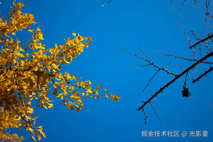 光影童于2025-11-28 10:03发布的图片