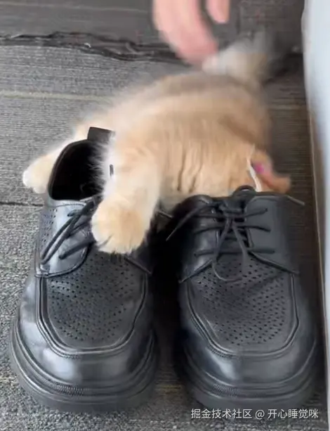 开心睡觉咪于2025-08-14 15:13发布的图片