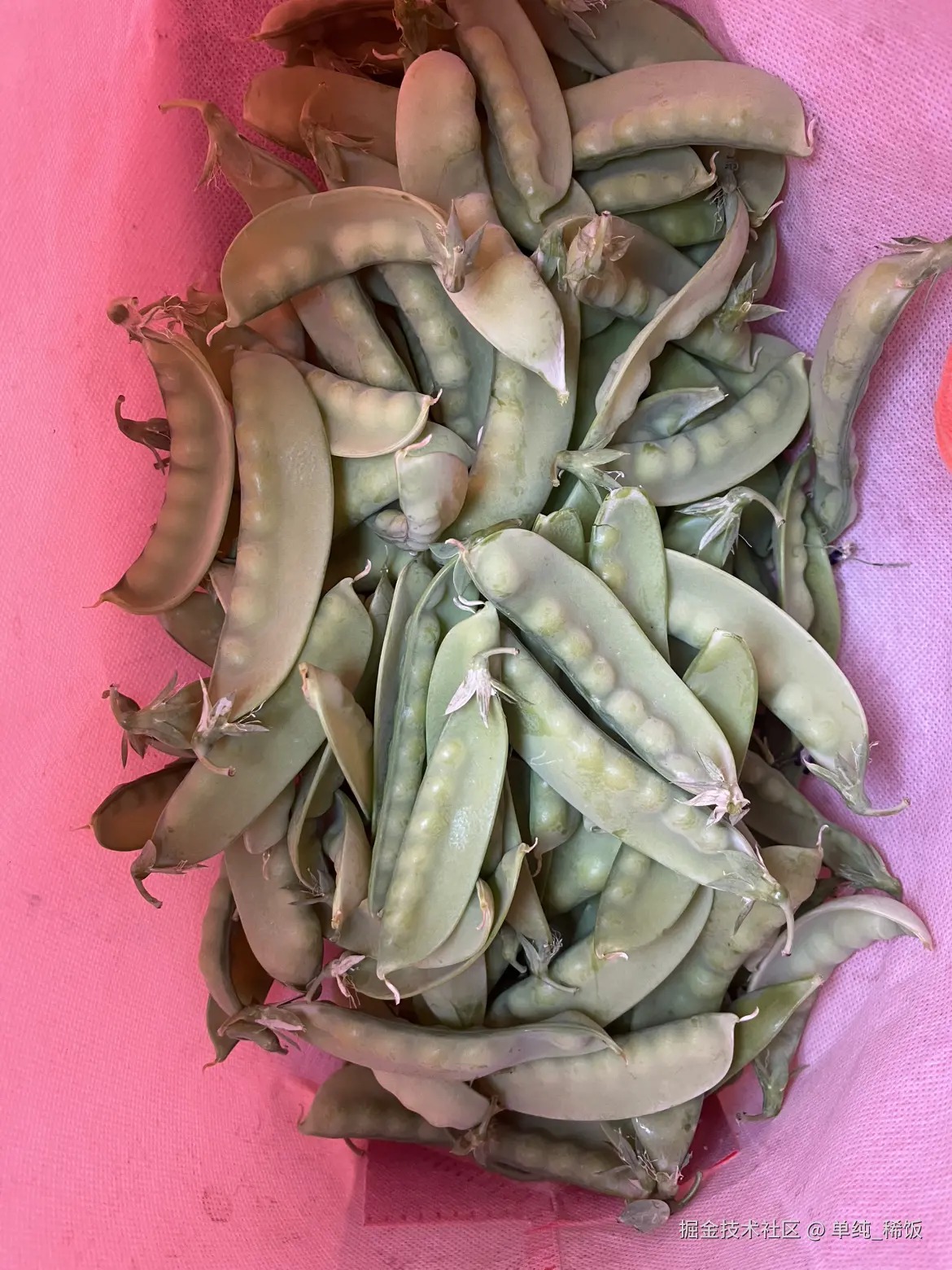 单纯_稀饭于2025-04-26 12:25发布的图片