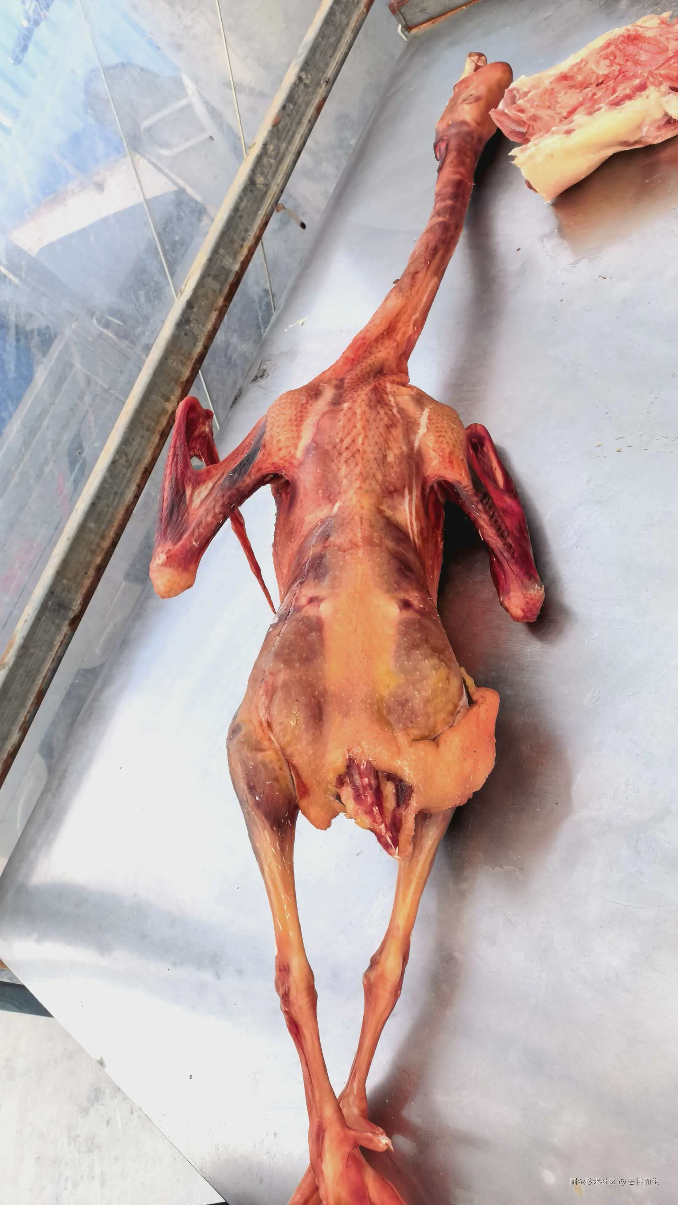 云往而生于2026-02-26 17:15发布的图片