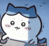 小鸡炖蘑菇o于2024-11-26 16:57发布的图片