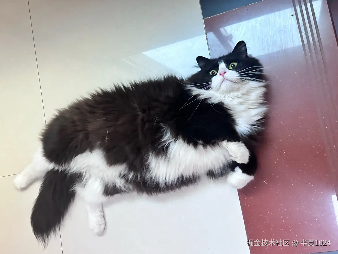 半夏1024于2024-07-30 11:09发布的图片