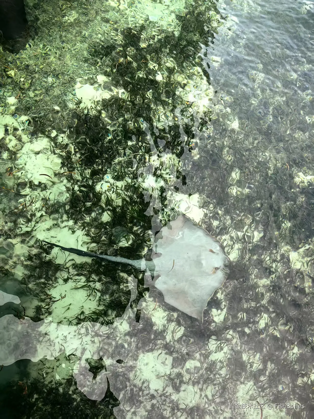 FishBones于2025-10-09 07:46发布的图片