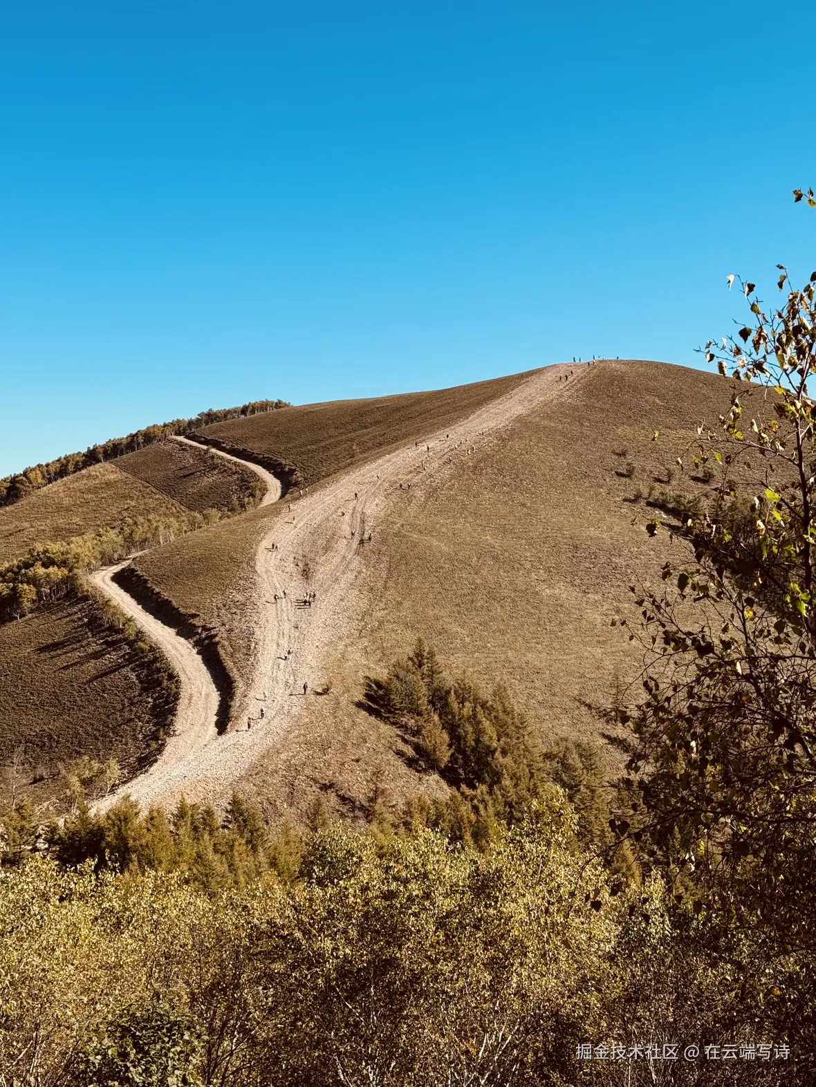 在云端写诗于2025-09-22 15:08发布的图片