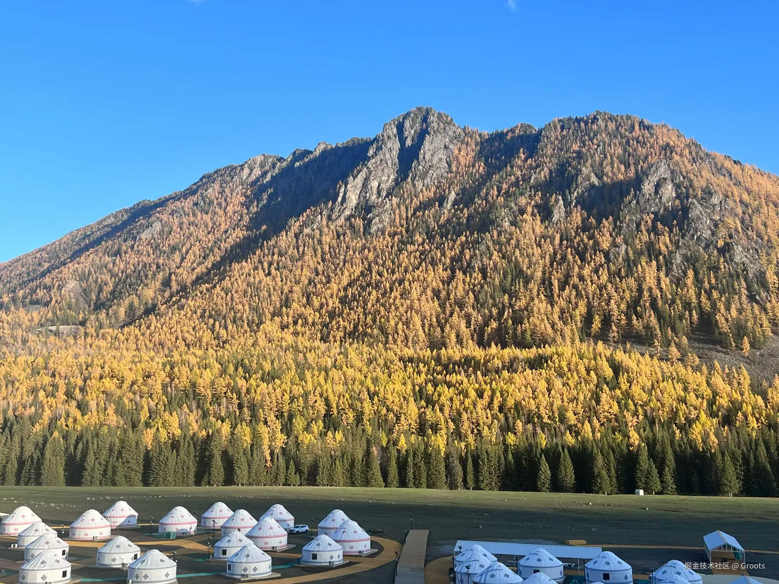 Groots于2025-09-29 09:56发布的图片