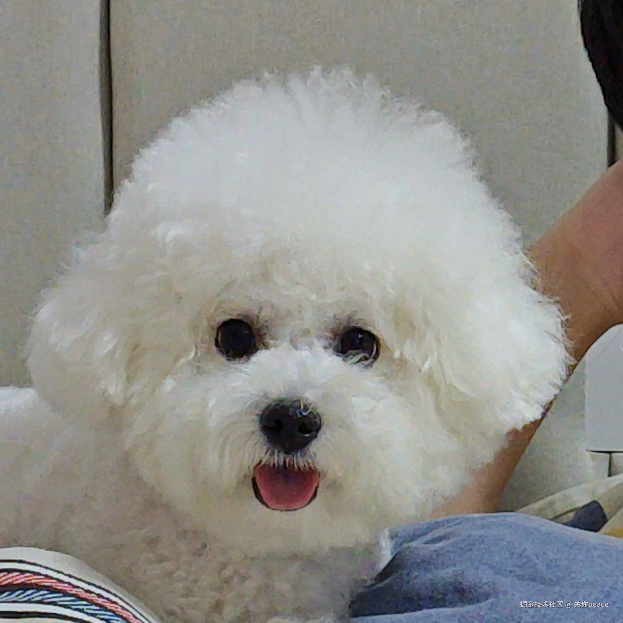 关你peace于2024-10-14 15:59发布的图片