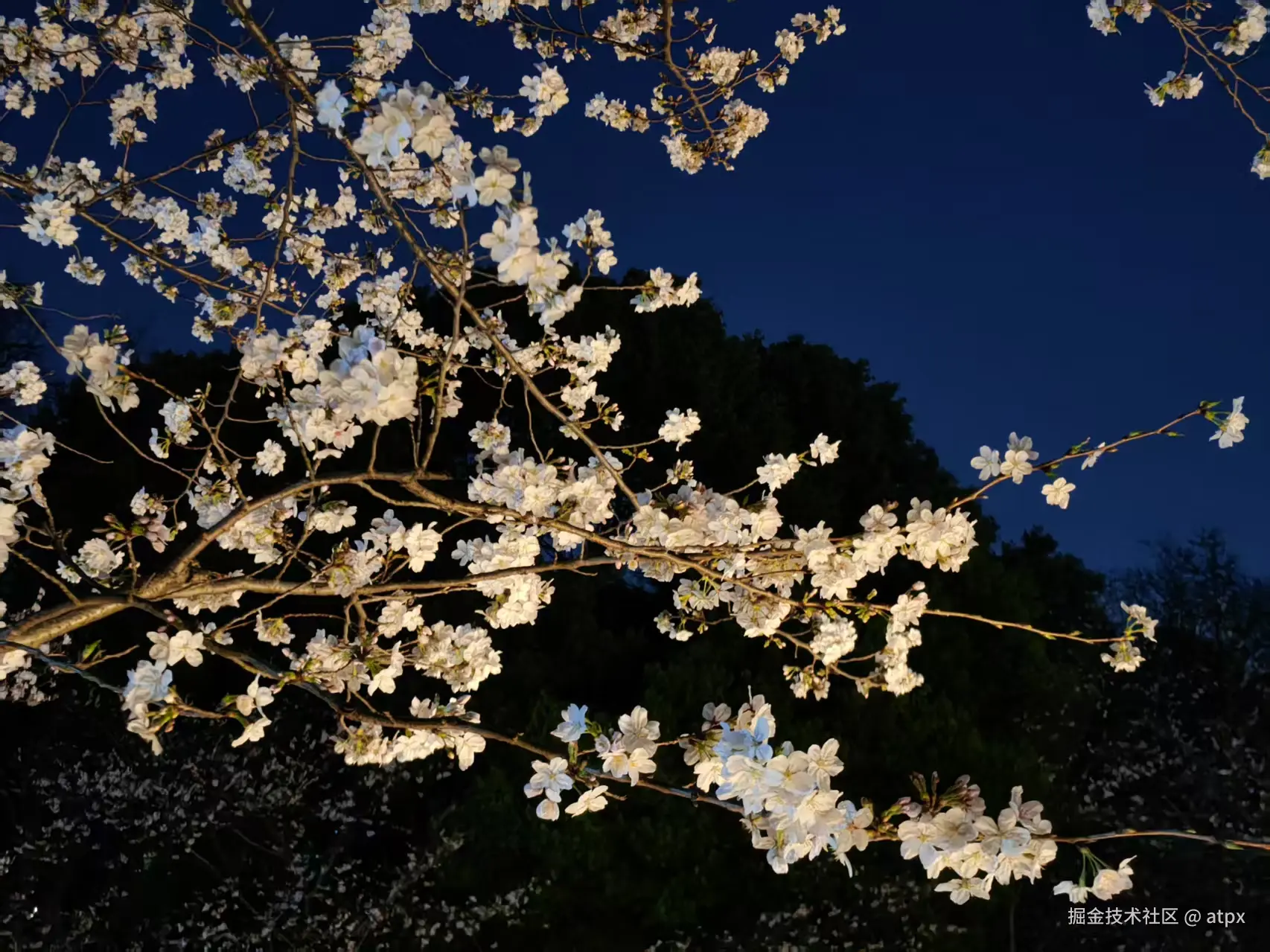 atpx于2025-03-27 09:48发布的图片